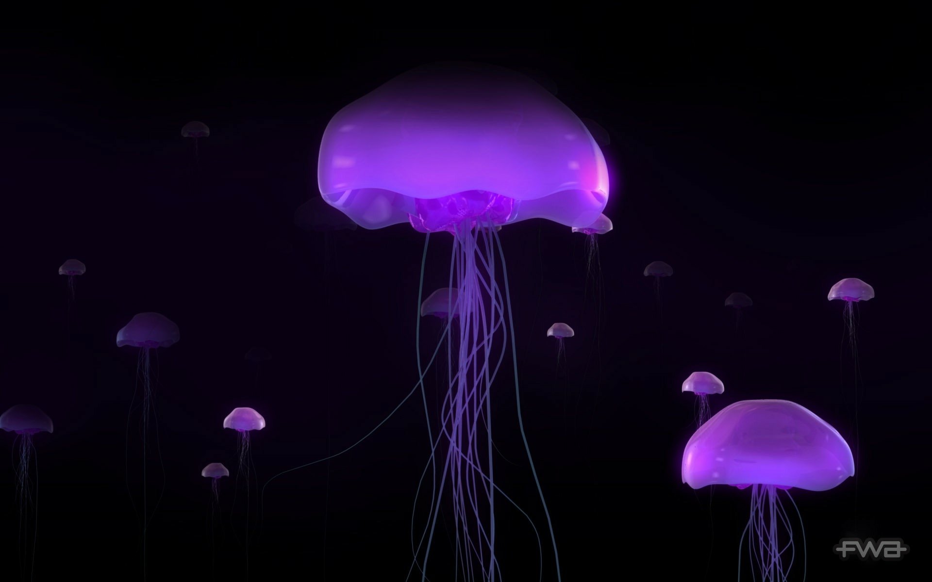 Purple Animal Jellyfish HD Wallpaper