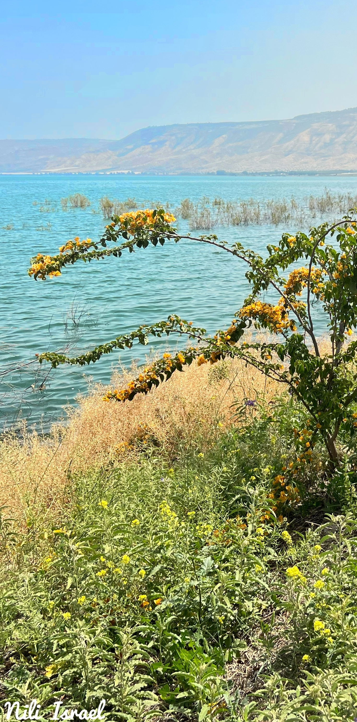 Sea of Galilee Photo Israel Photo