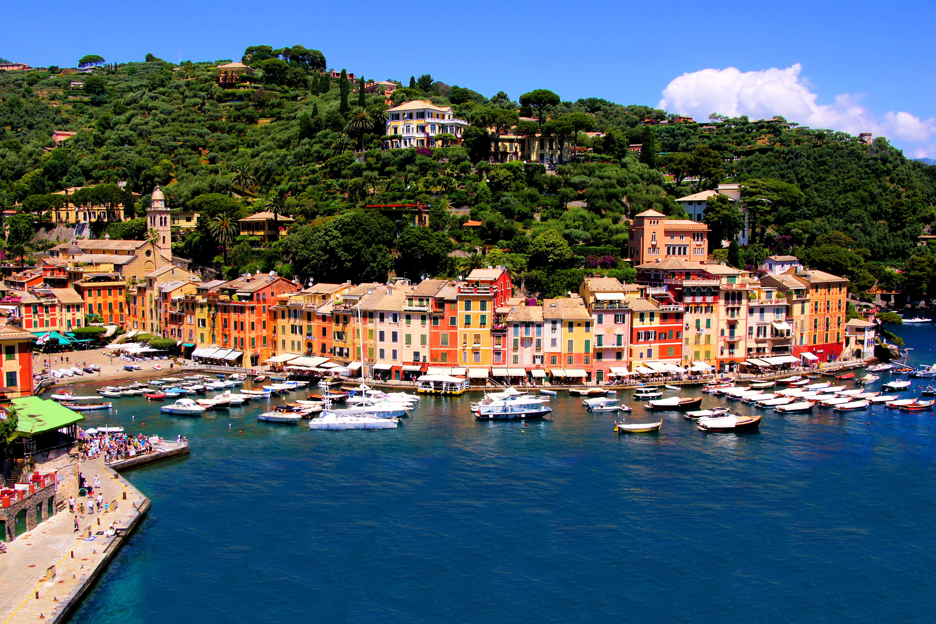 View of Portofino, Italy Mural