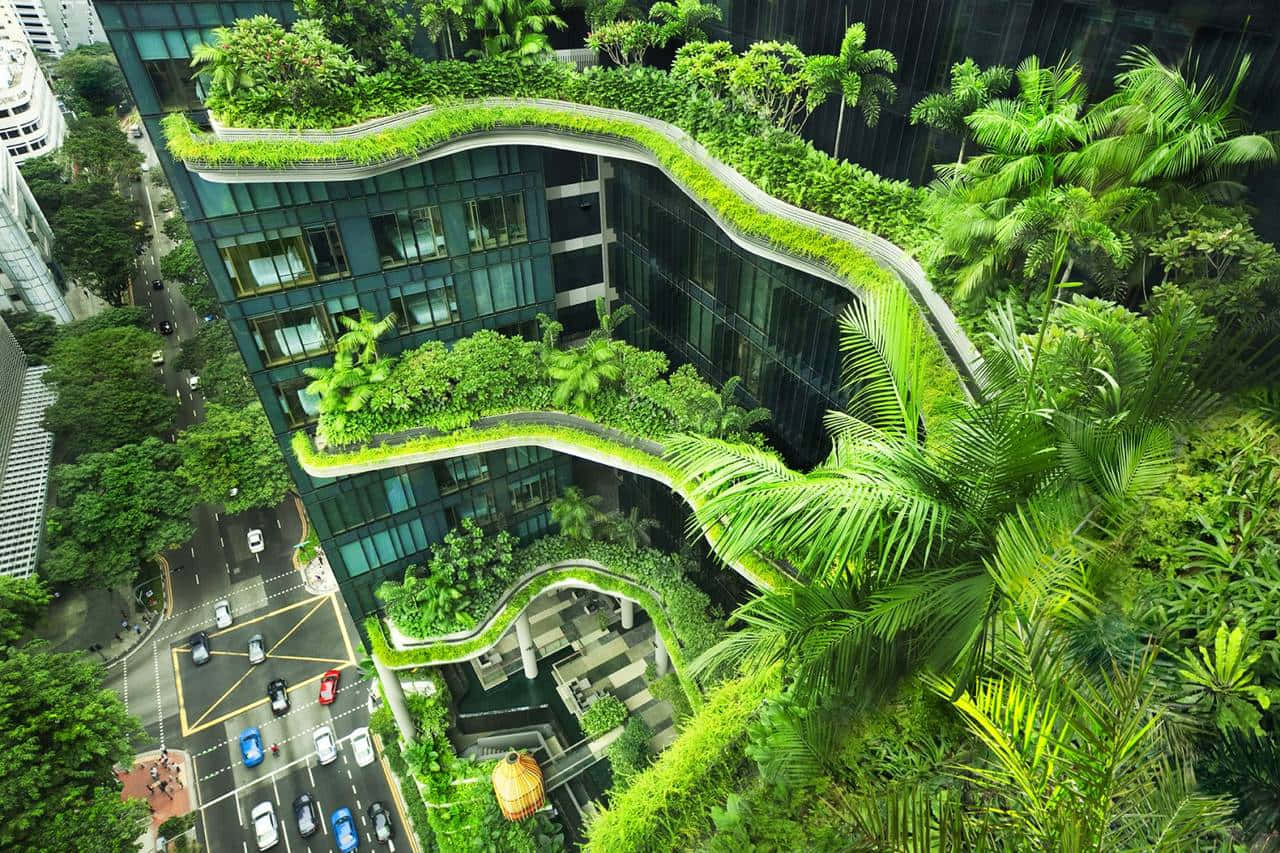 Green Buildings Wallpaper