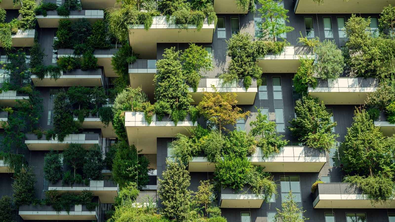 green building materials