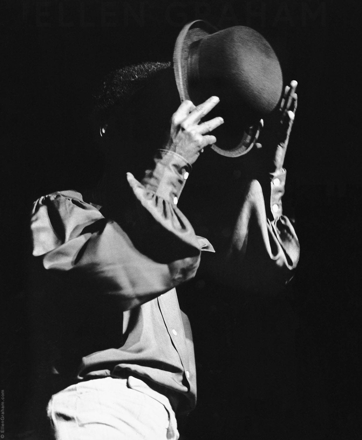 Download Performing American Celebrity