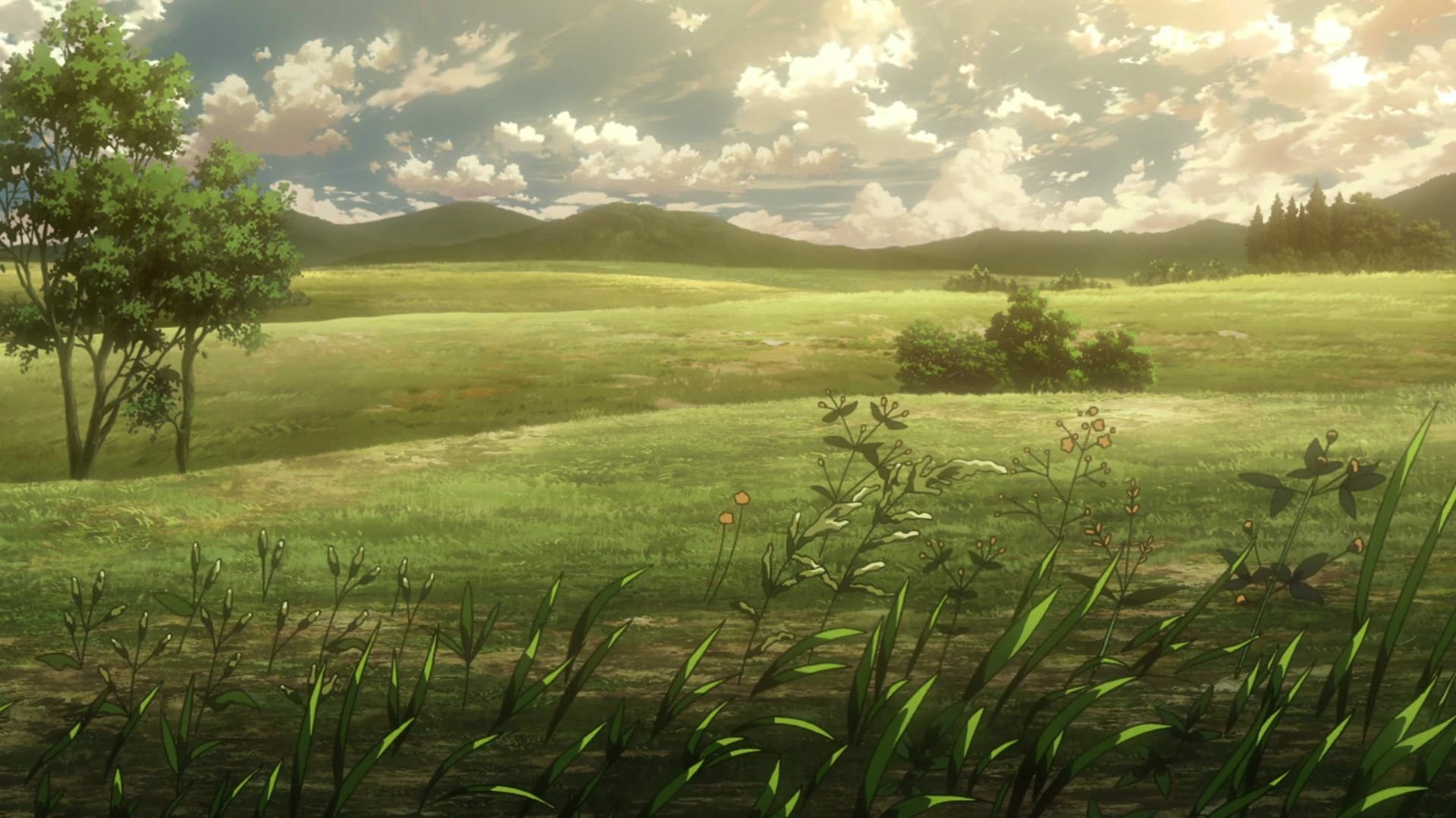 Attack on Titan Landscape HD Wallpaper