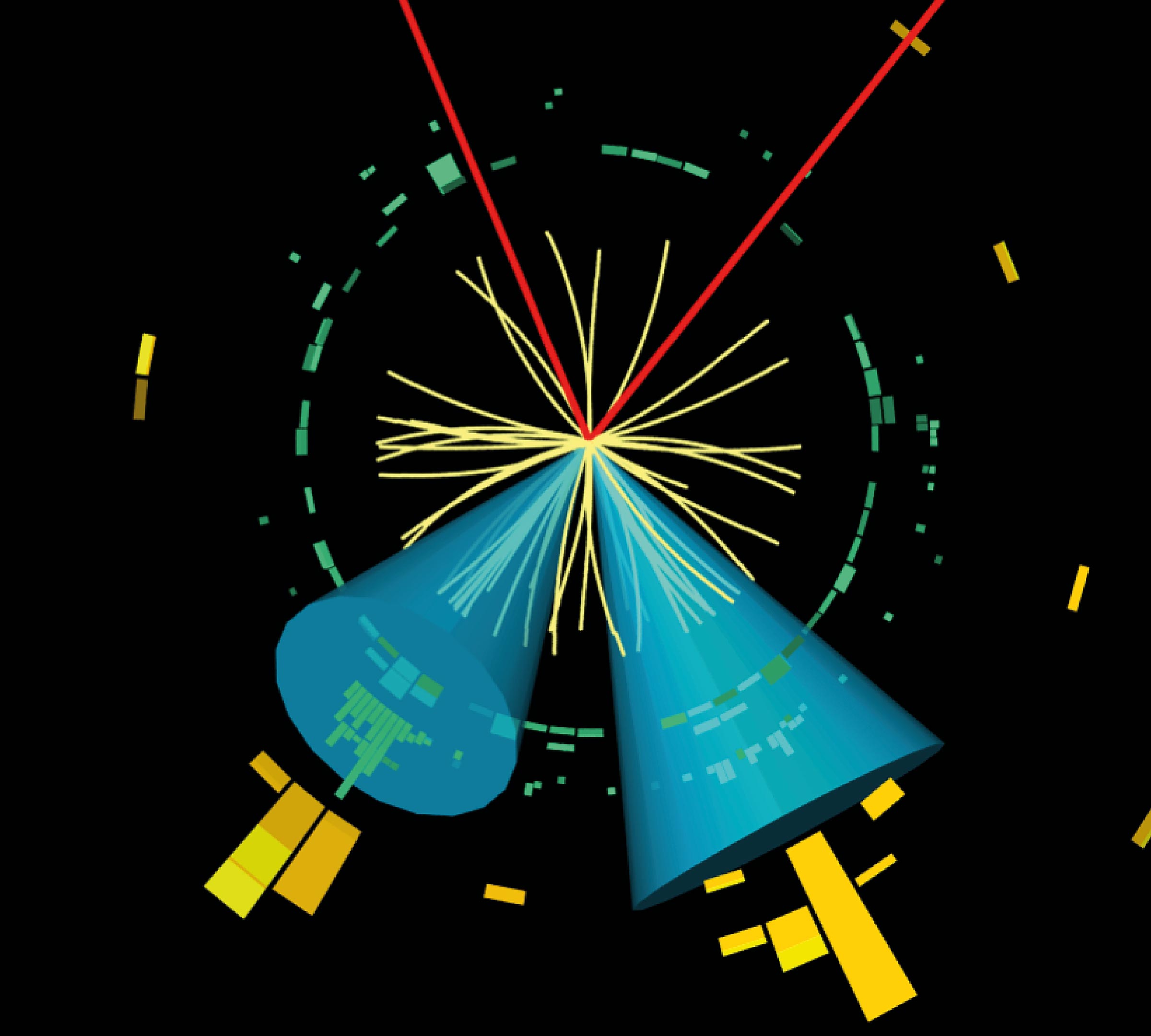 Charm Quark at the Large Hadron Collider