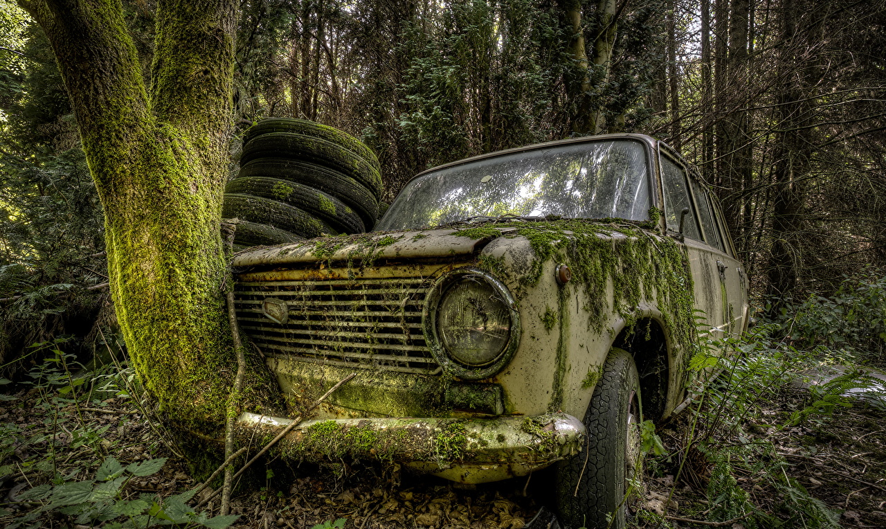 Picture Russian cars Forests Old Moss
