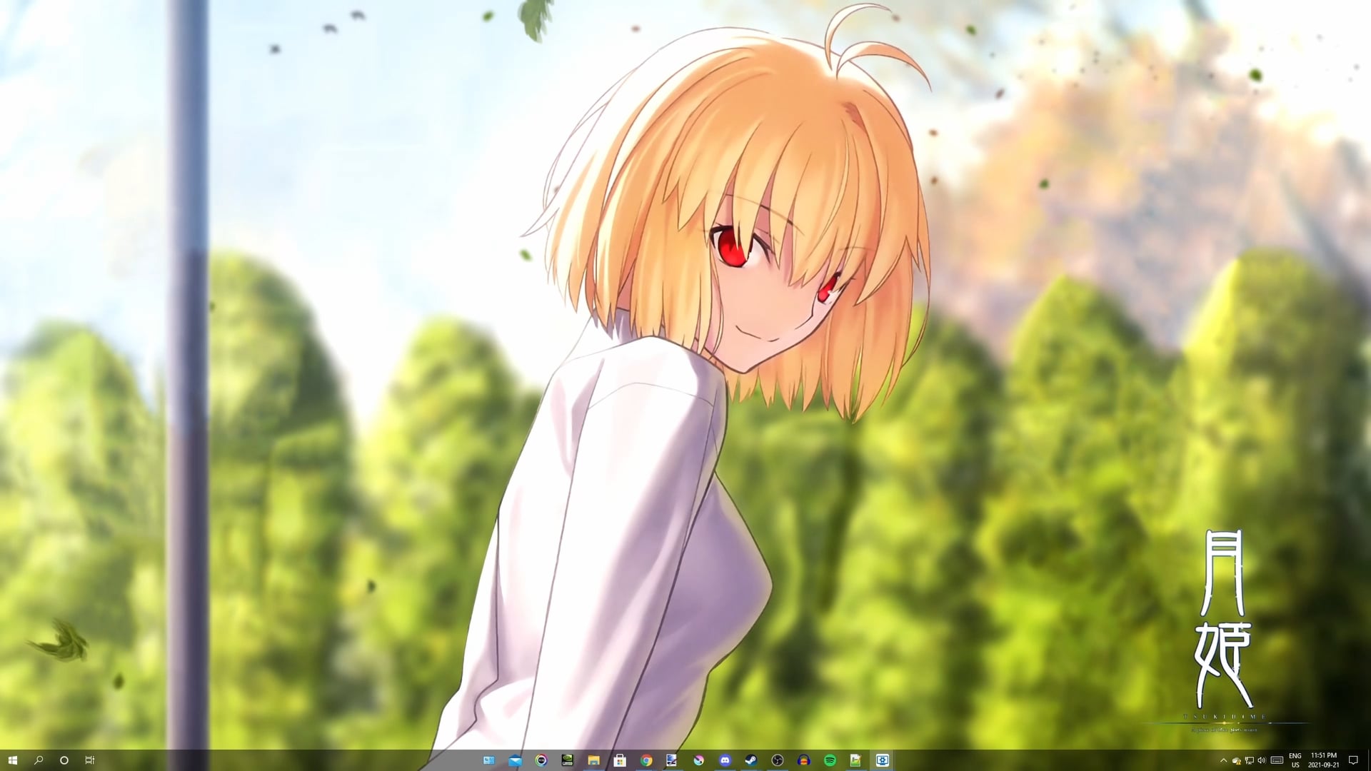 Arcueid Brunestud Wallpaper Engine