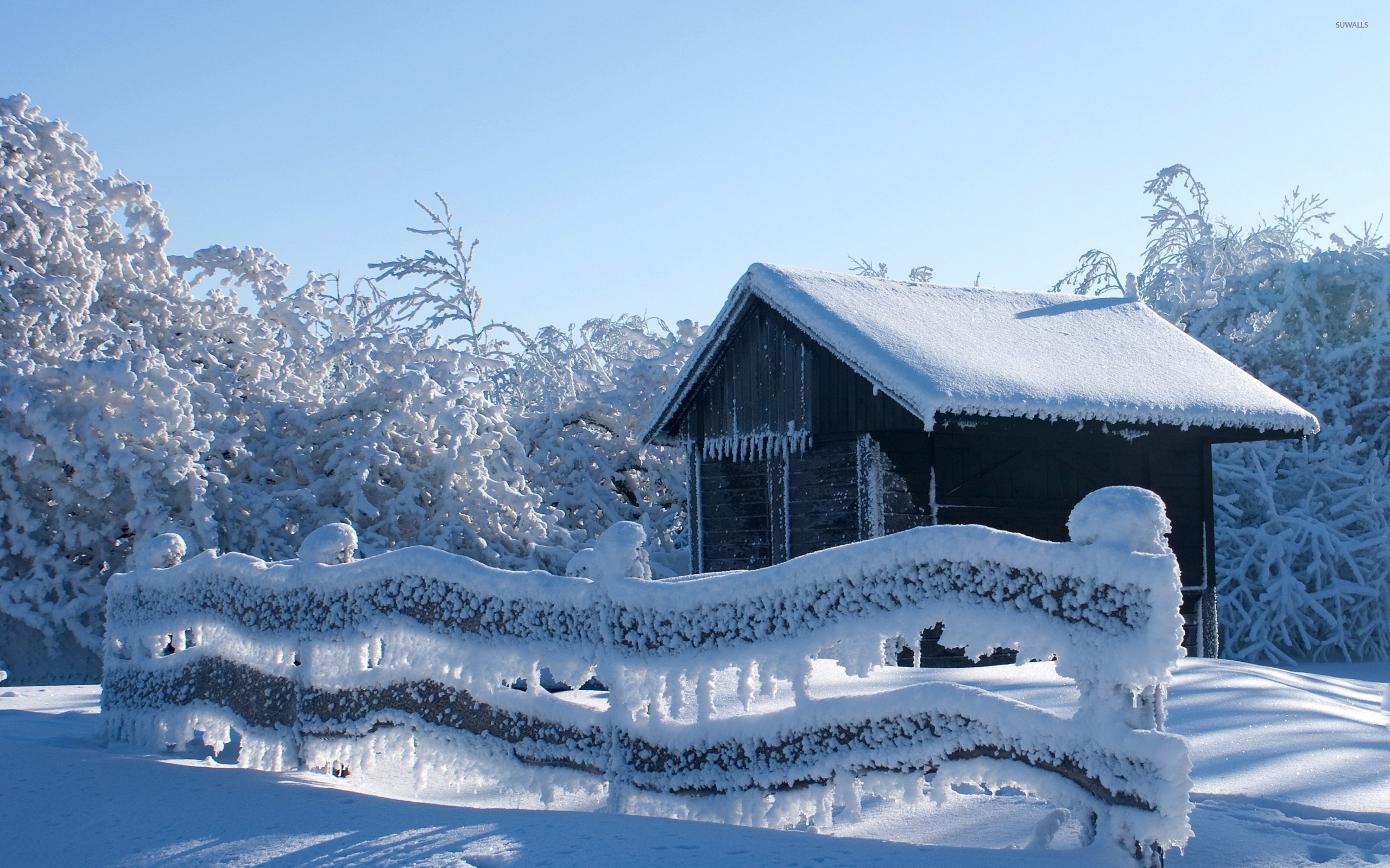 Frozen nature by the old hut wallpaper