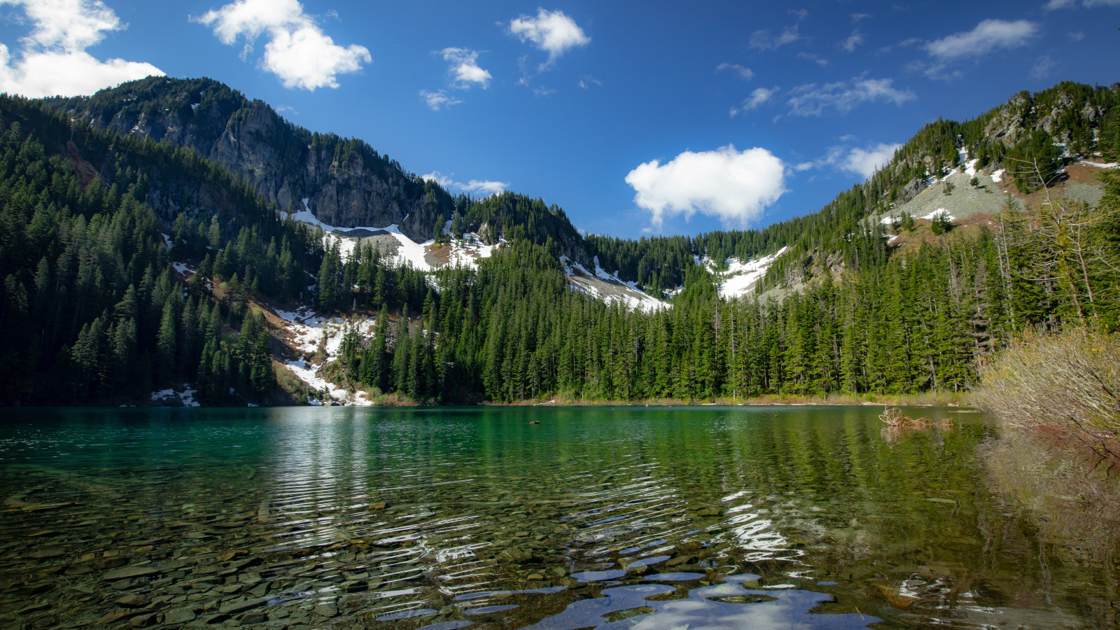 Download wallpaper forest, mountains