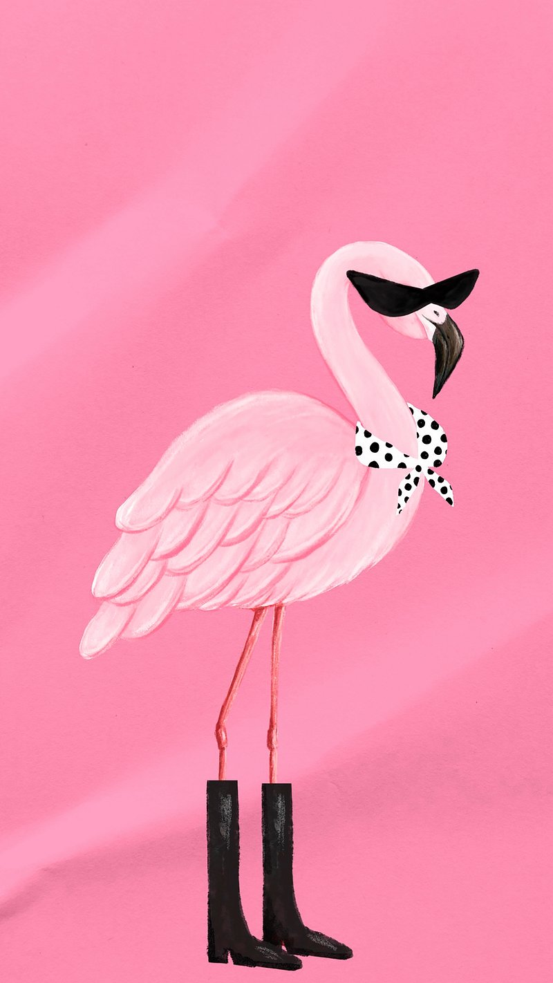 Flamingo Wallpaper Image. Free Photo