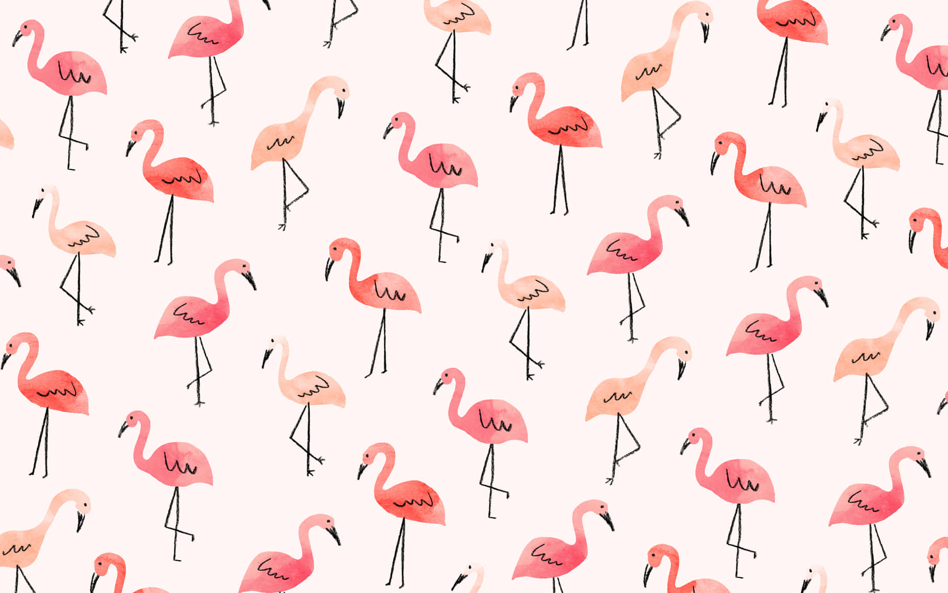Download free Pink Flamingos On A White