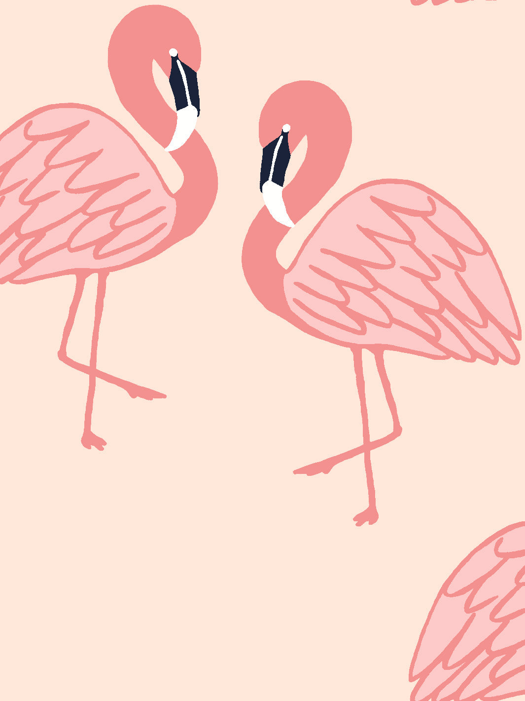 Flamingos' Wallpaper