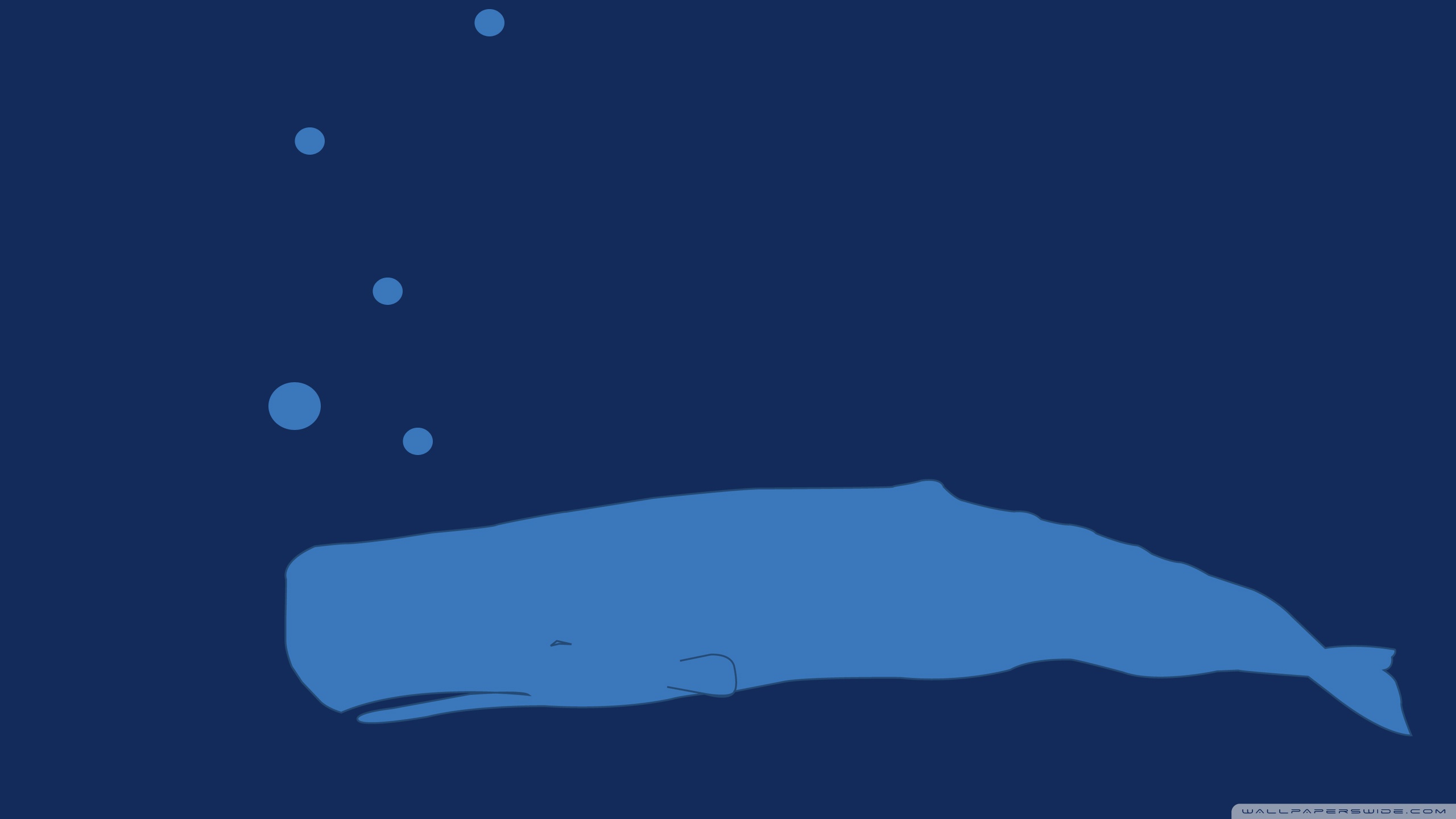 Whale Underwater Cartoon Ultra HD