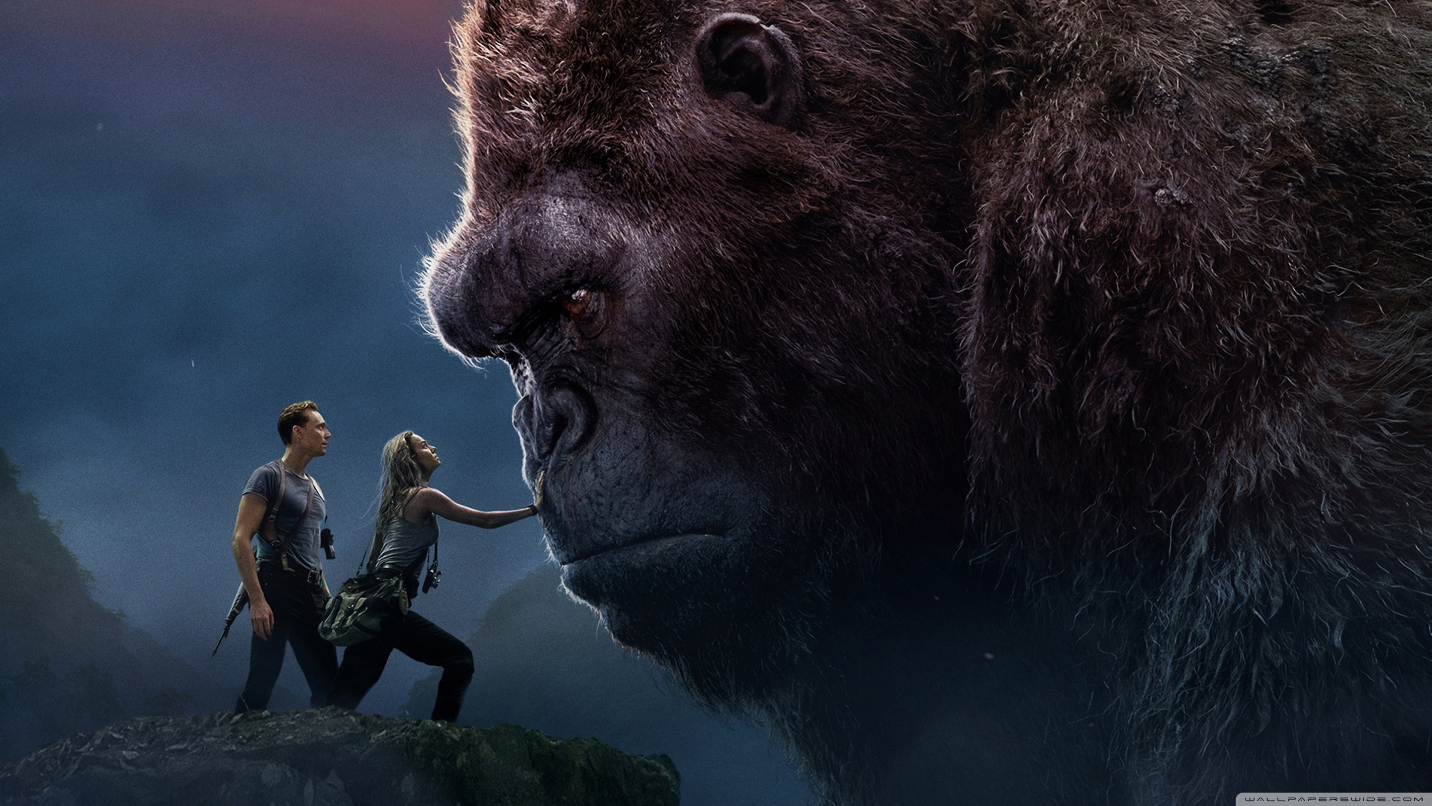 King Kong Ultra HD Desktop Background