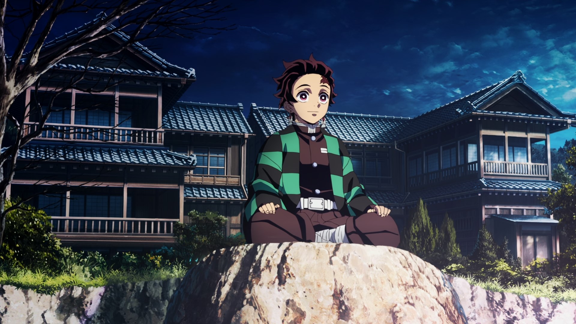 Demon Slayer: Kimetsu no Yaiba HD