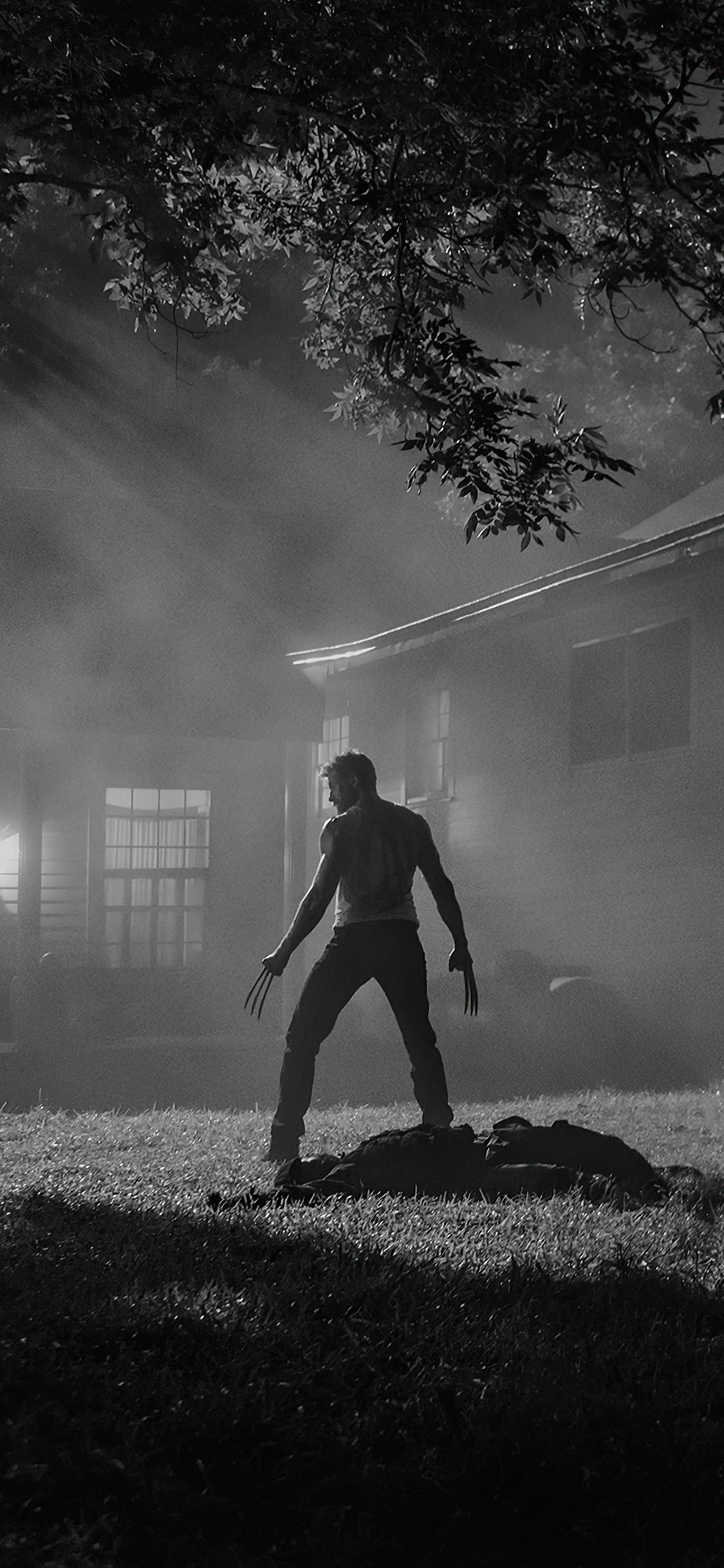 The Wolverine Hugh Jackman 4k