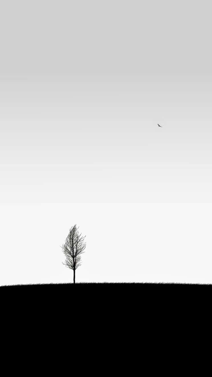 Download free White Minimalist Tree
