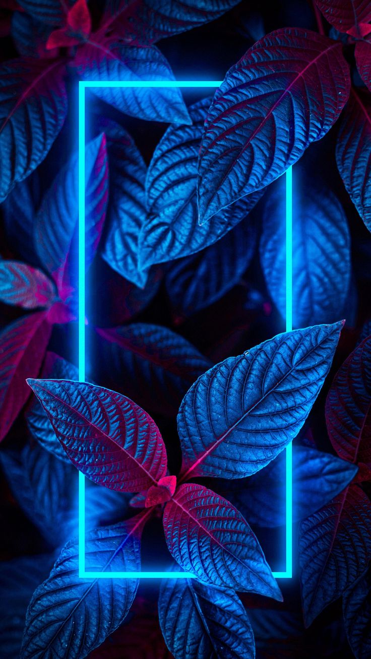 Foliage Neon Nature iPhone Wallpaper