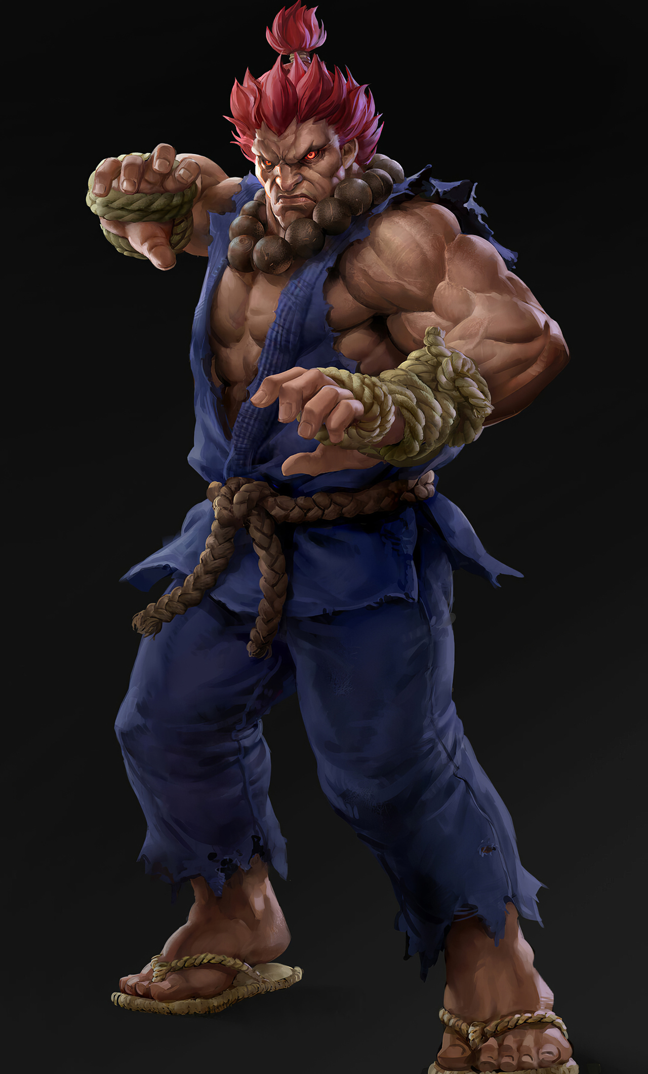 4k Akuma Street Fighter