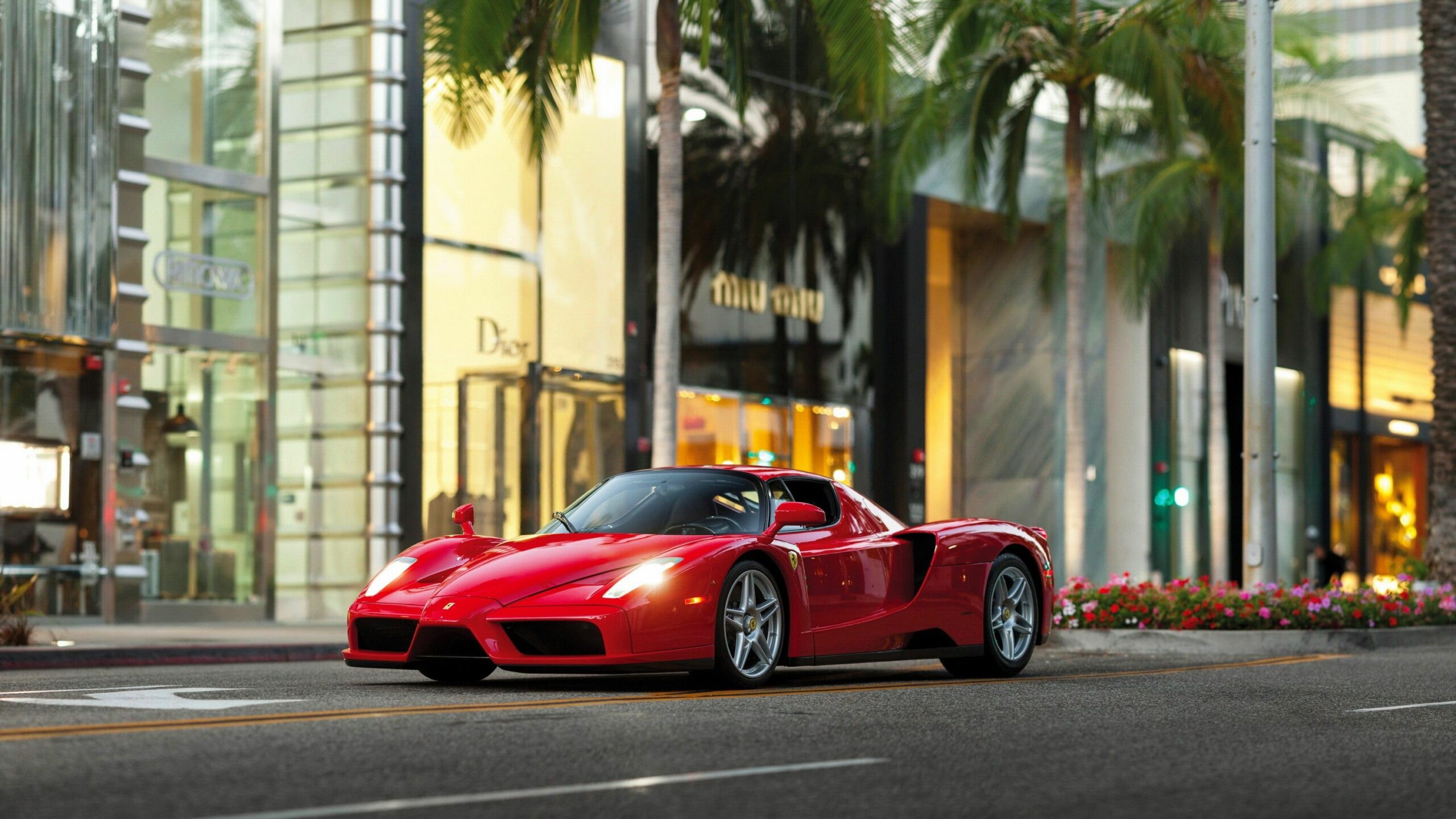 Ferrari Enzo Wallpaper