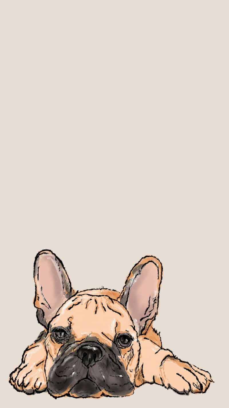 Download free French Bulldog Drawing