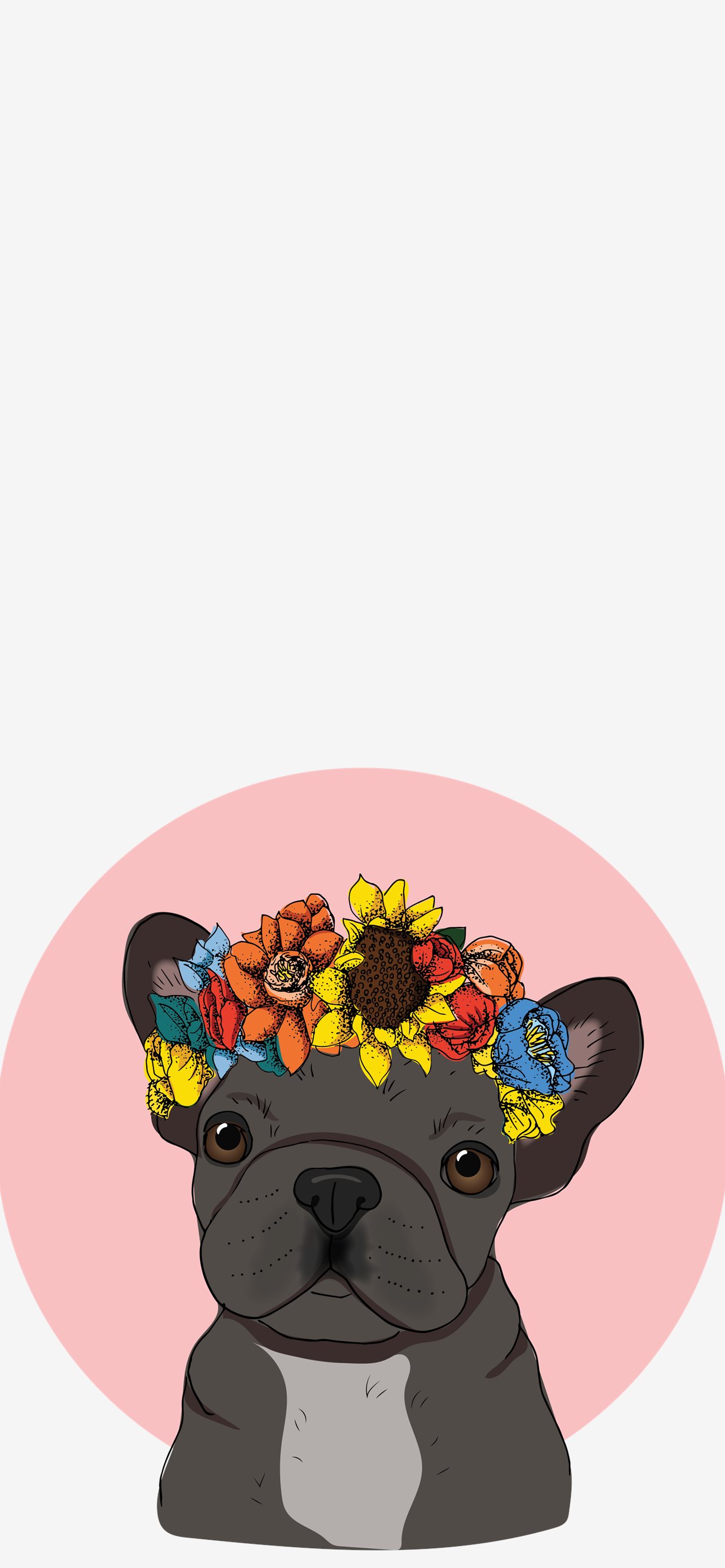 Best Bulldogs iPhone HD Wallpaper