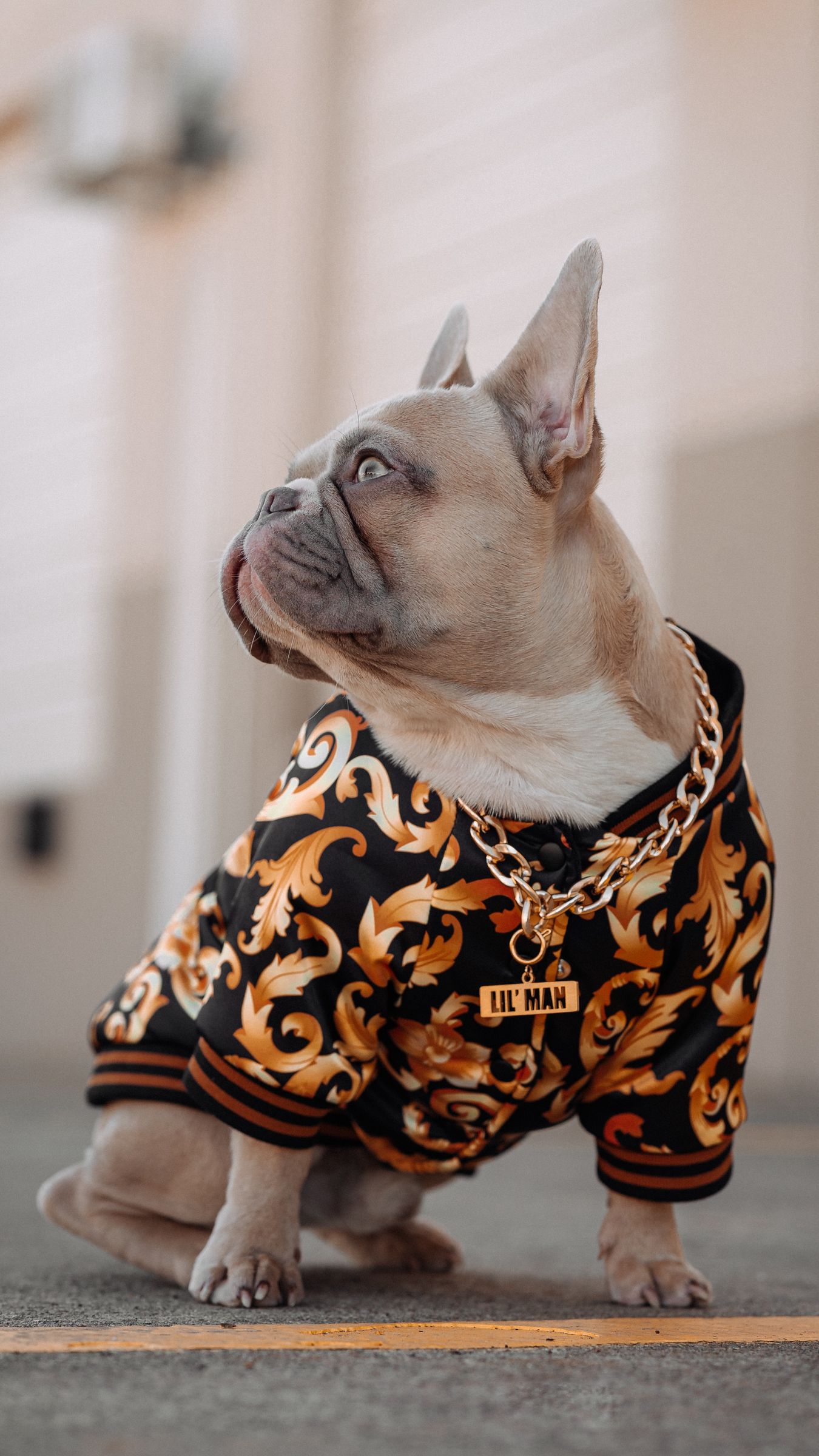 Download wallpaper 1350x2400 french