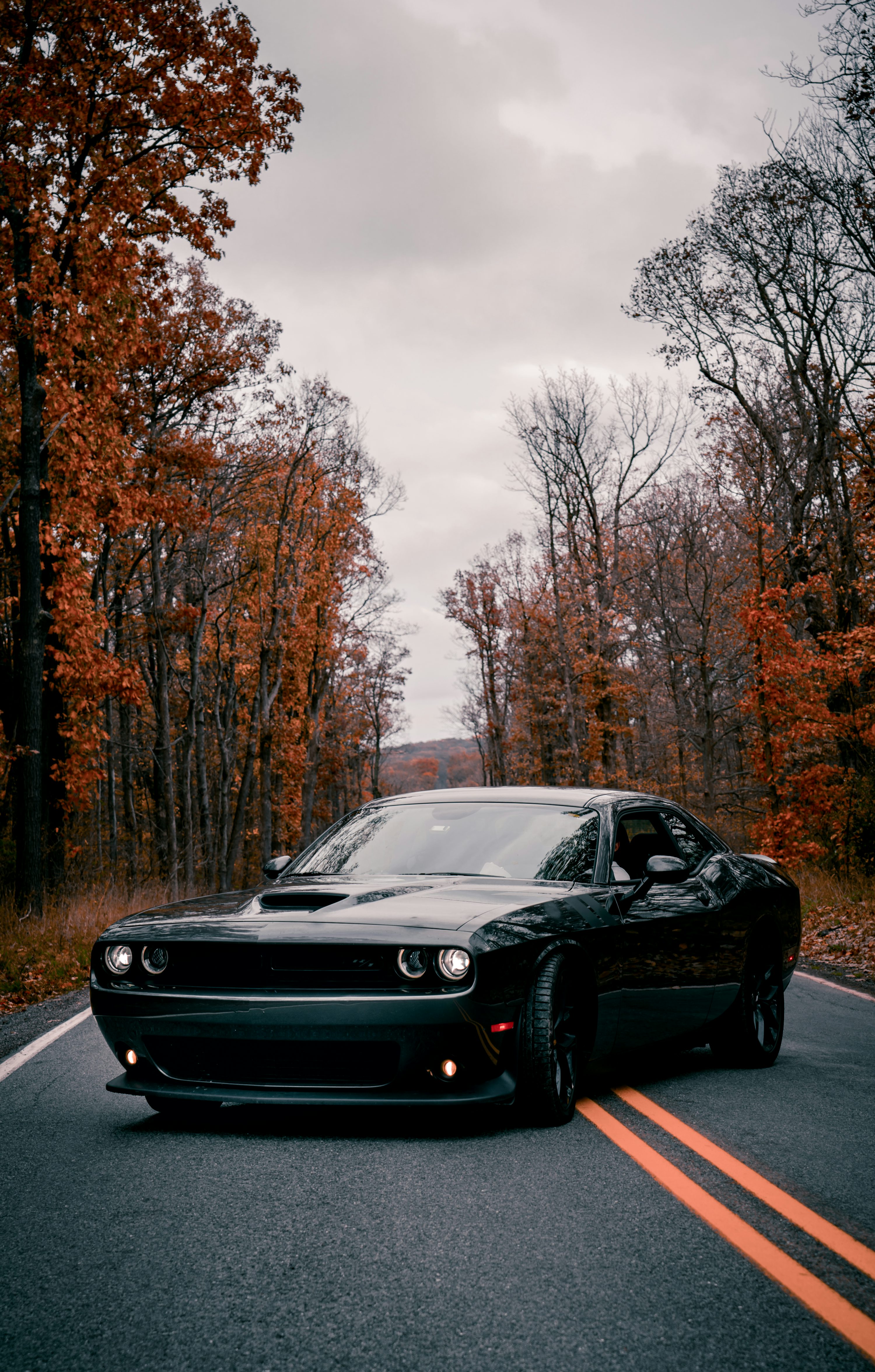 Black porsche 911 on road near trees