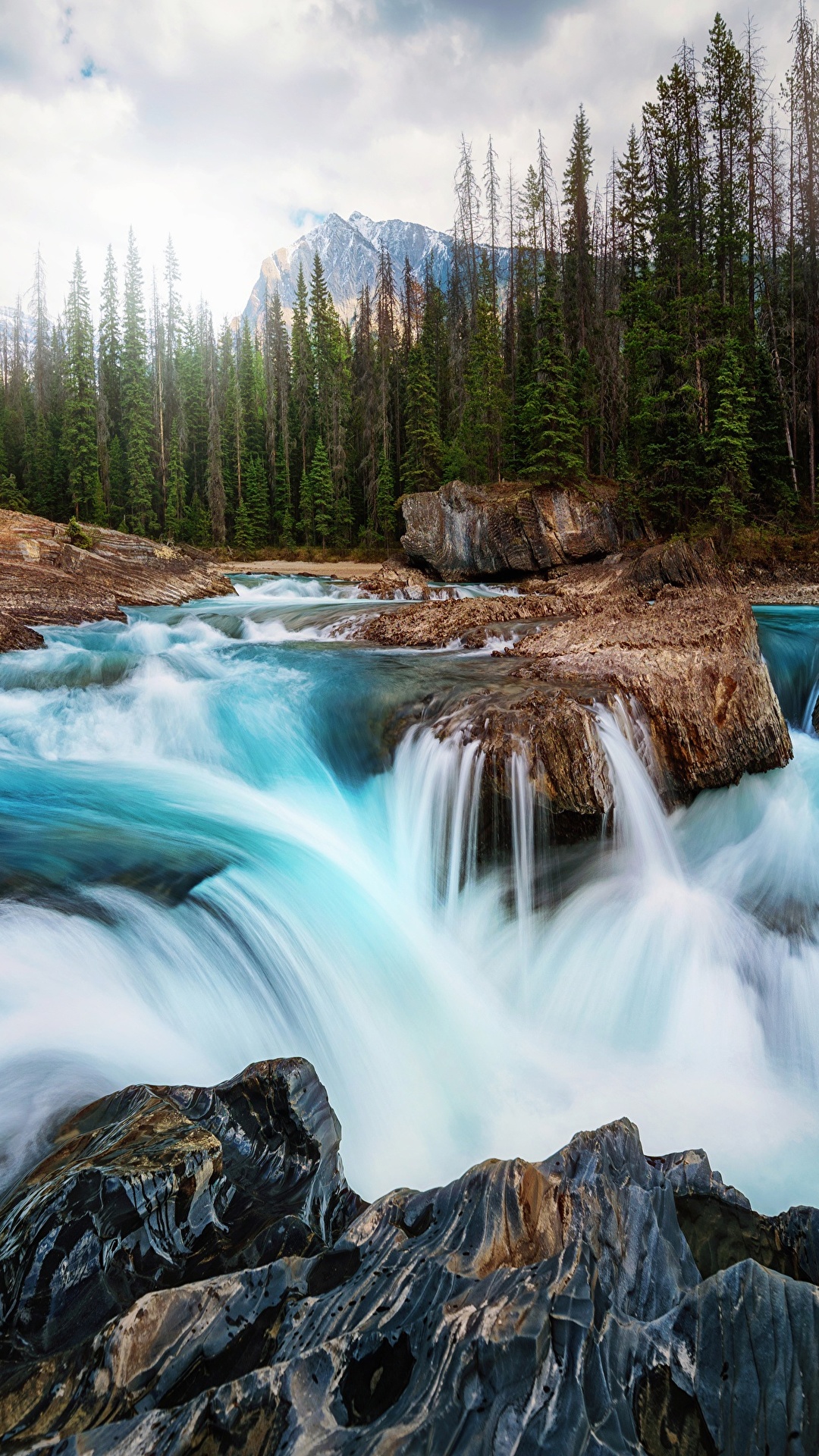 Nature Waterfalls forest Scenery river