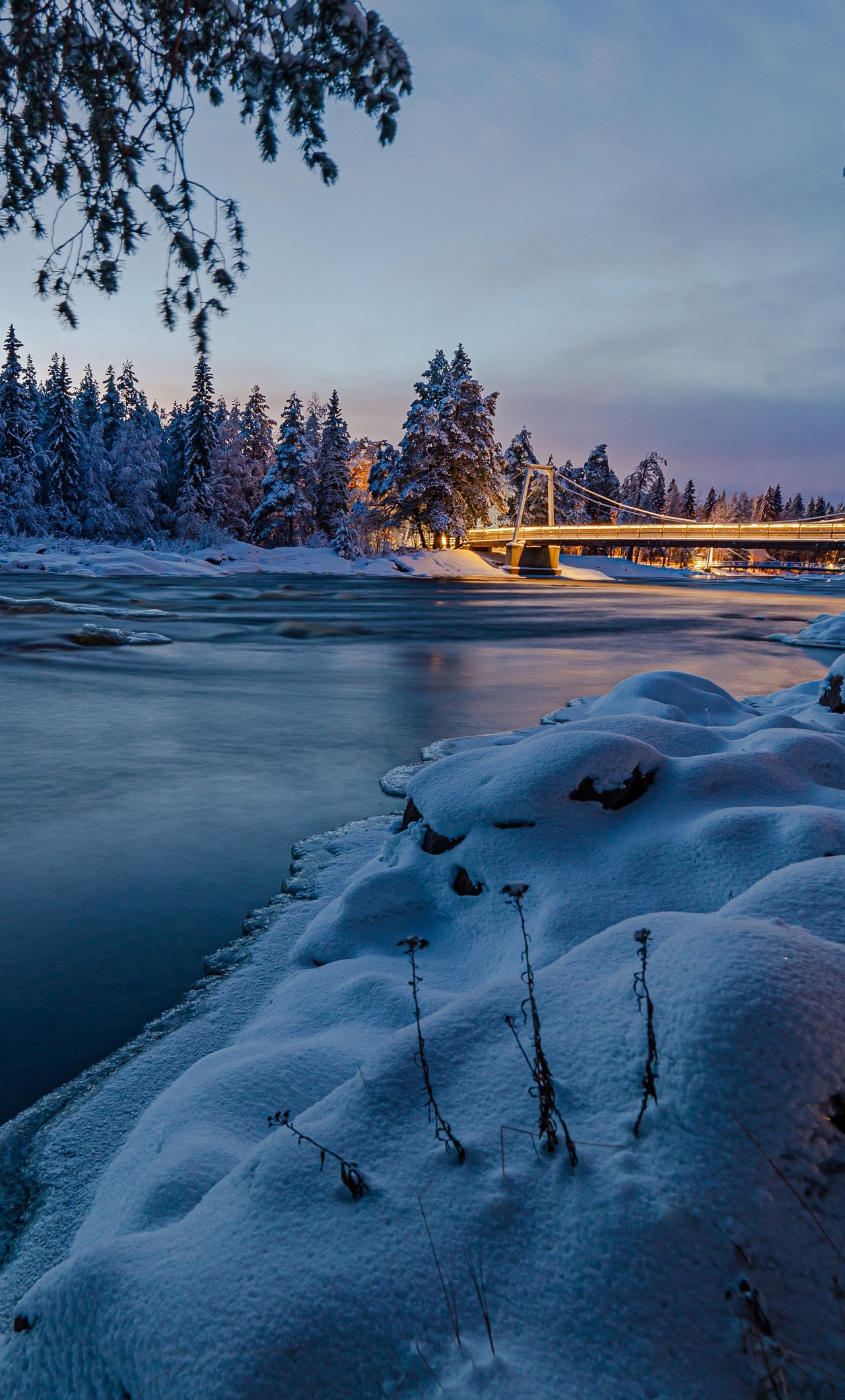 Rivers Forests Finland 4k