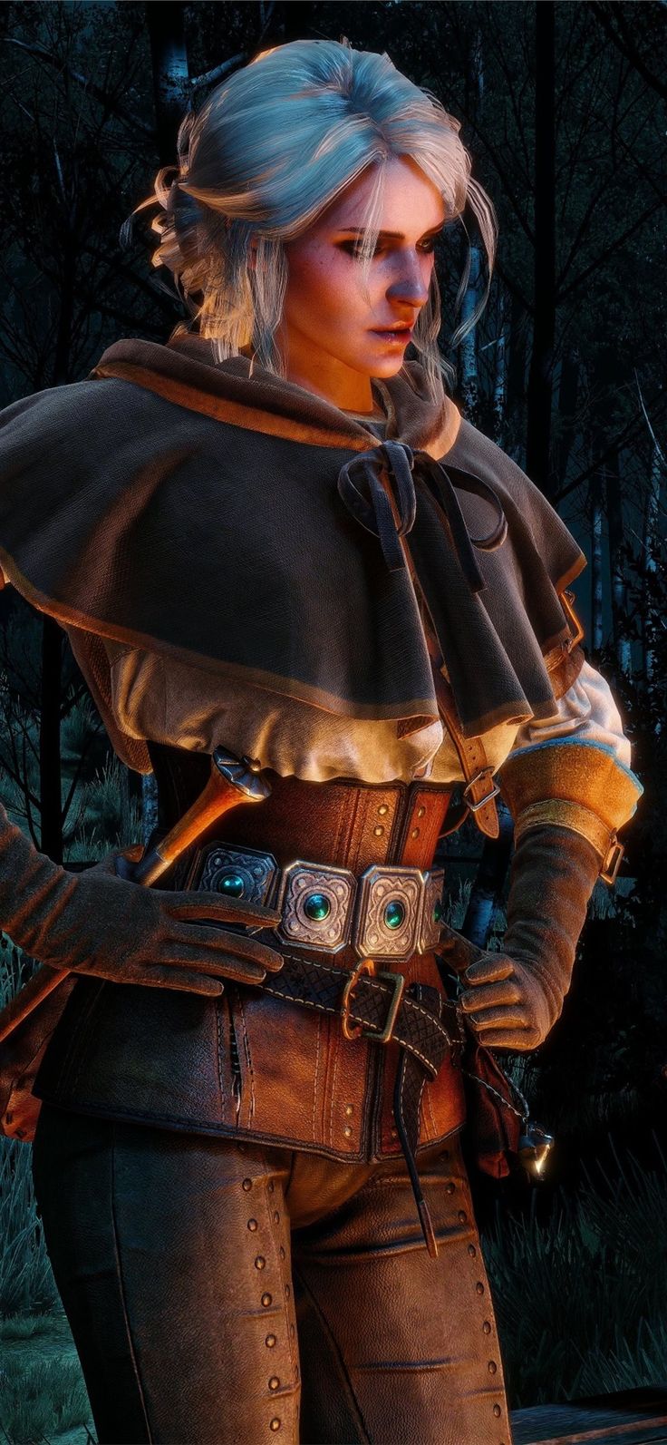 witcher 3 wild hunt 2020 4k iPhone X