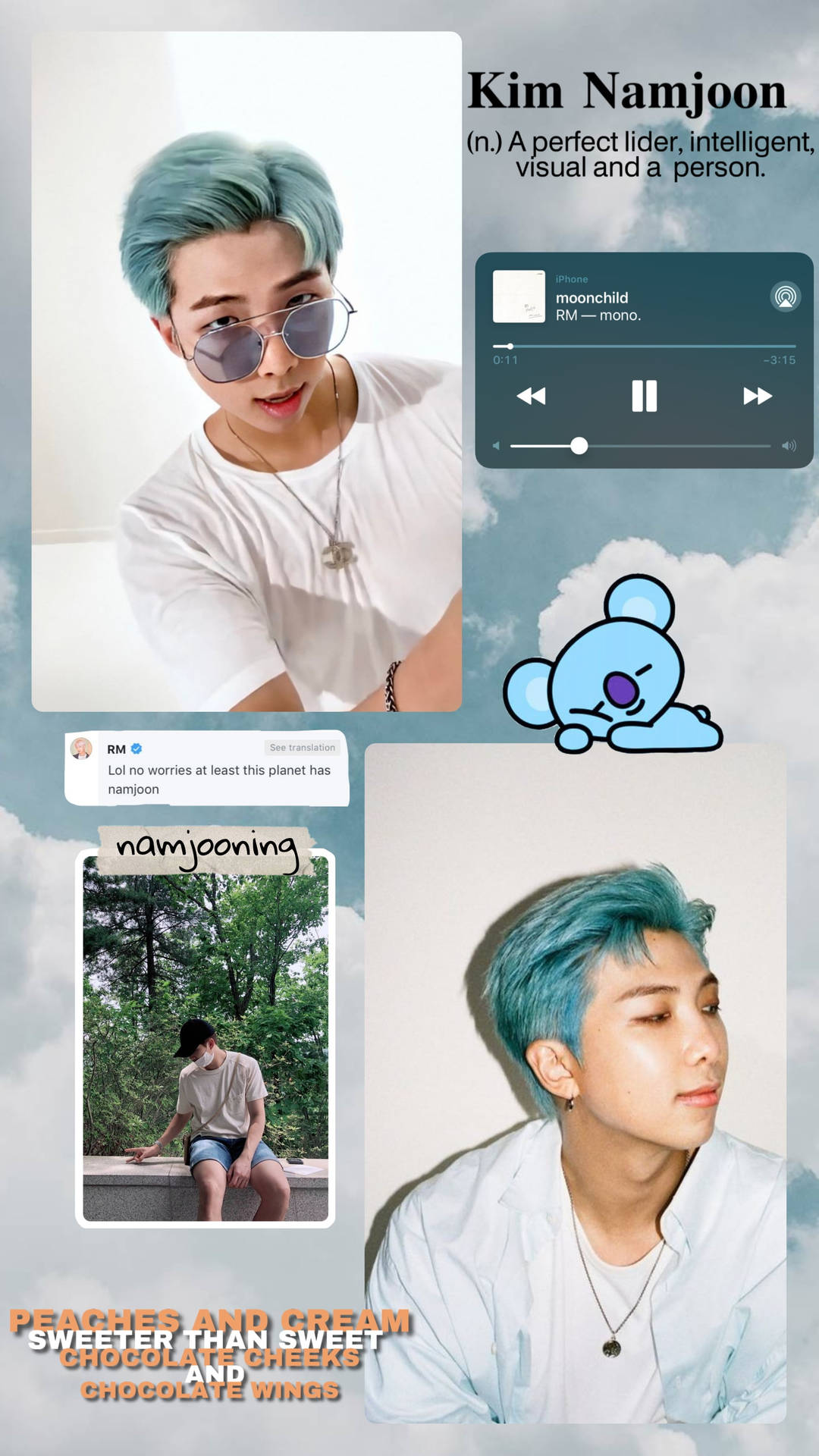 Download RM from BTS showing his