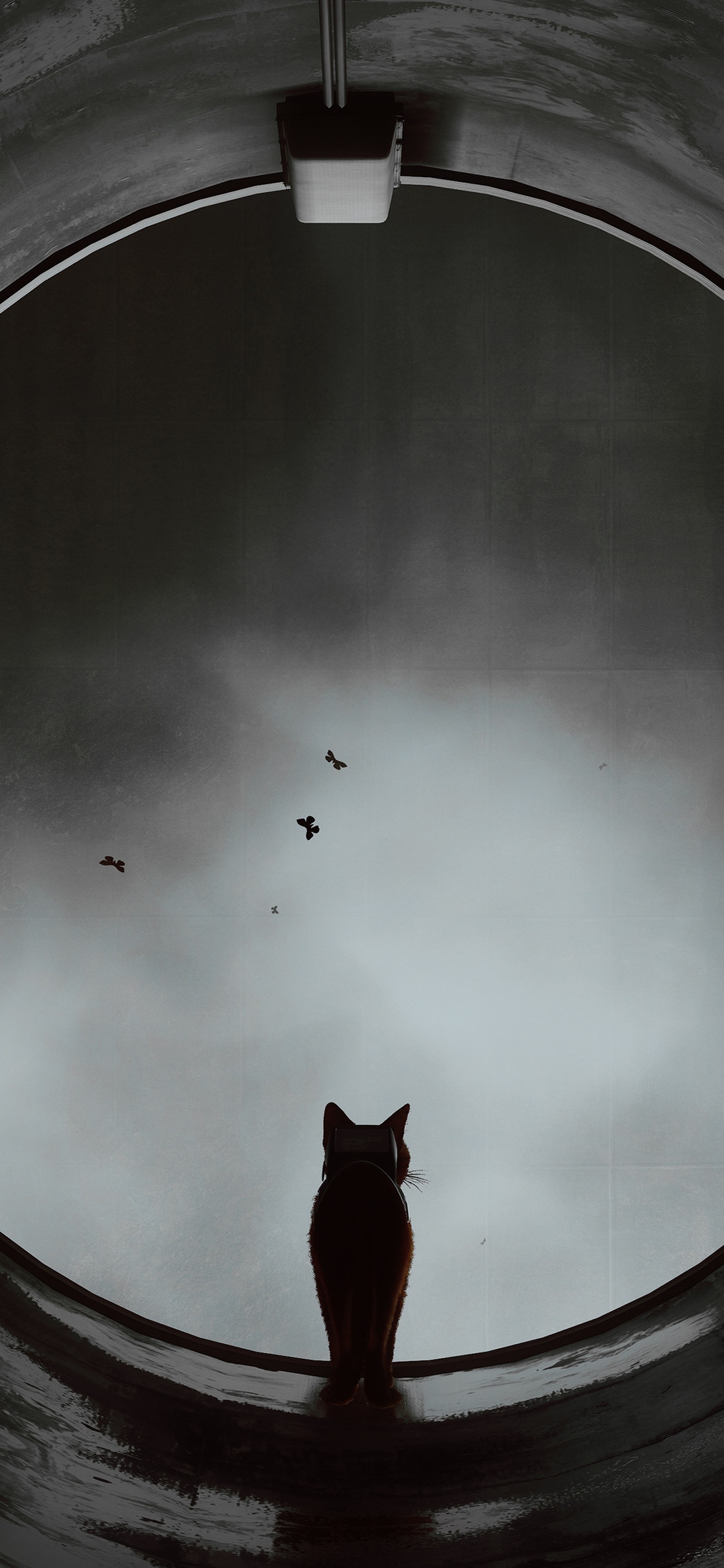 Stray Game iPhone XS, iPhone