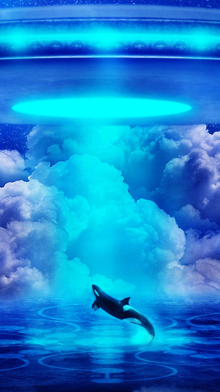 Orca wallpaper for mobile phone