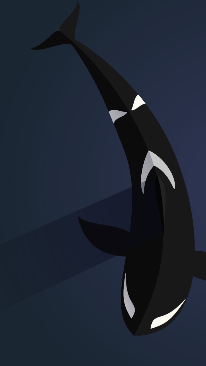 Orca Phone Wallpaper by whalezor - Fur