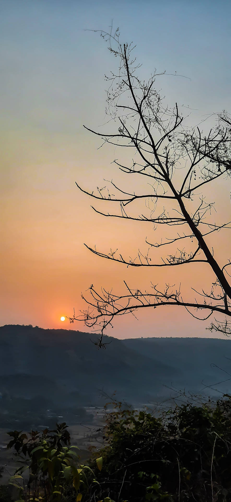 iPhone X Nature Lovely Sunset Wallpaper