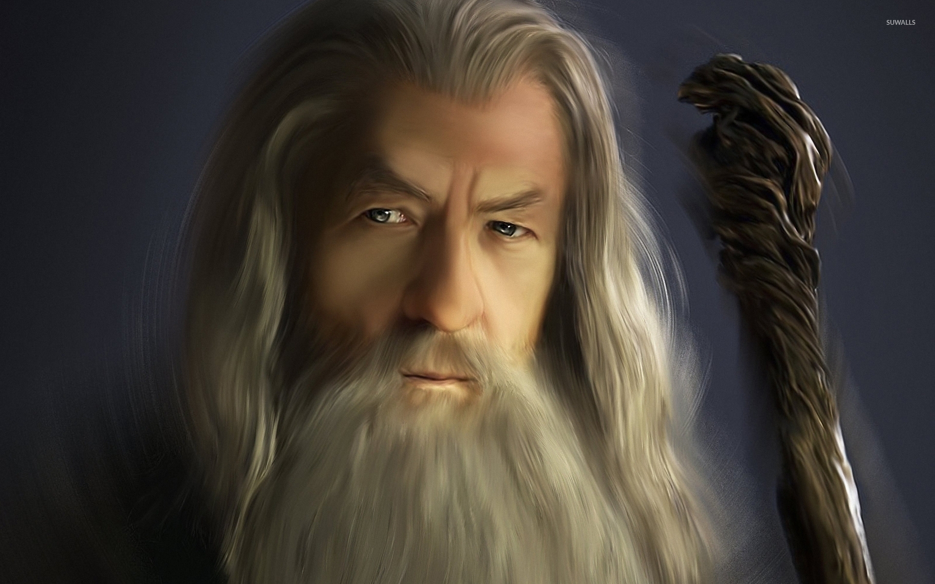 Gandalf of the Rings wallpaper