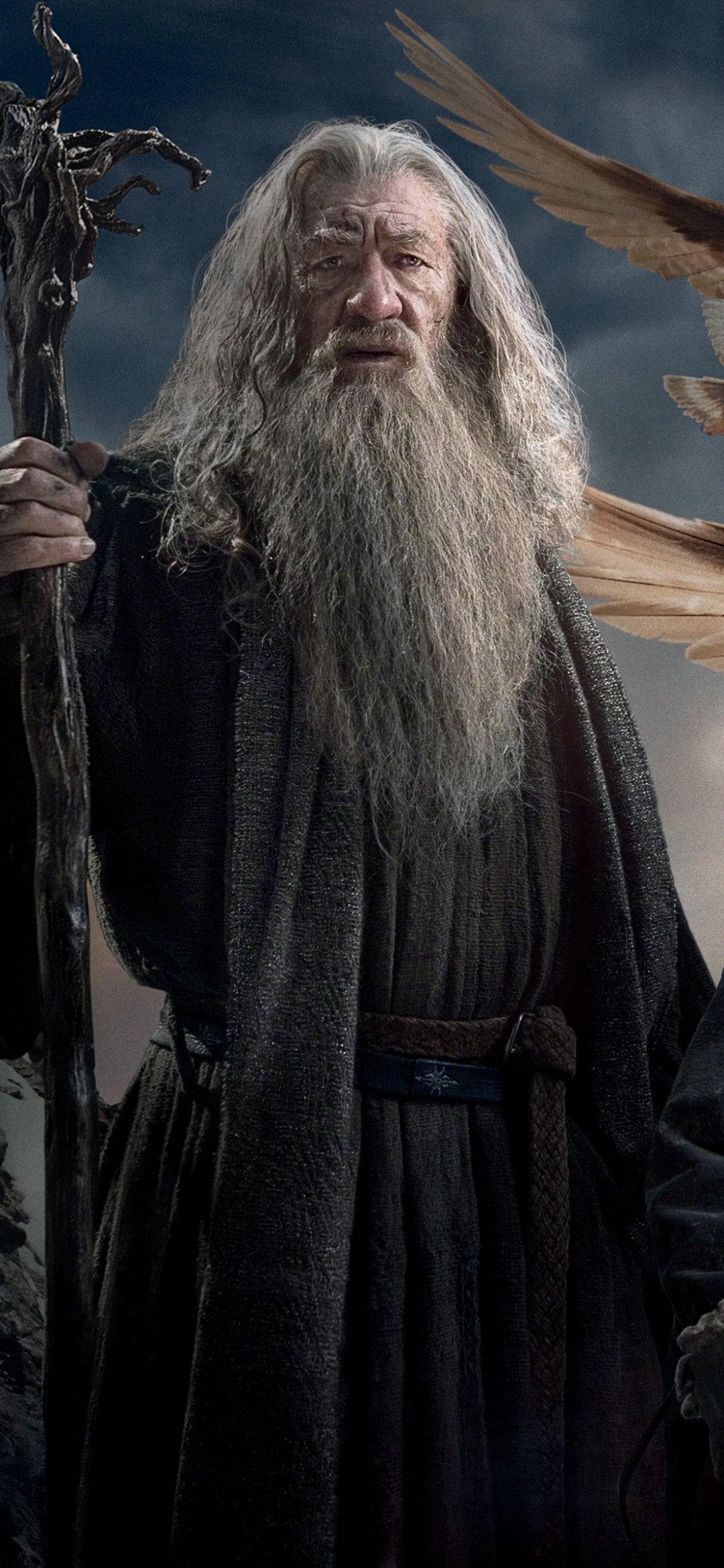 Lord Of The Rings, Beard, Movie