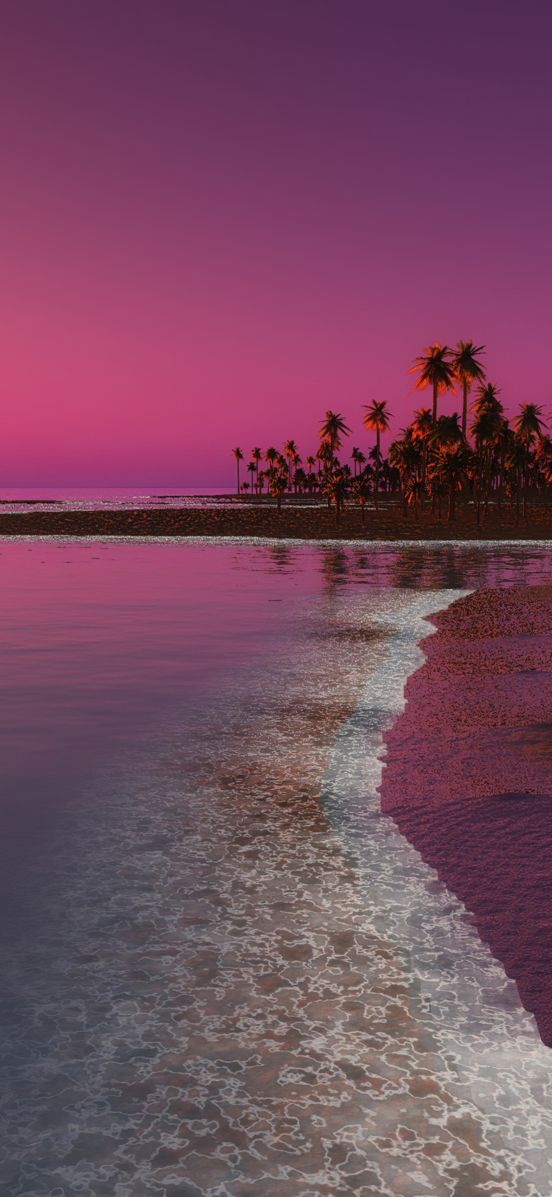 Palm Trees Sunset Digital