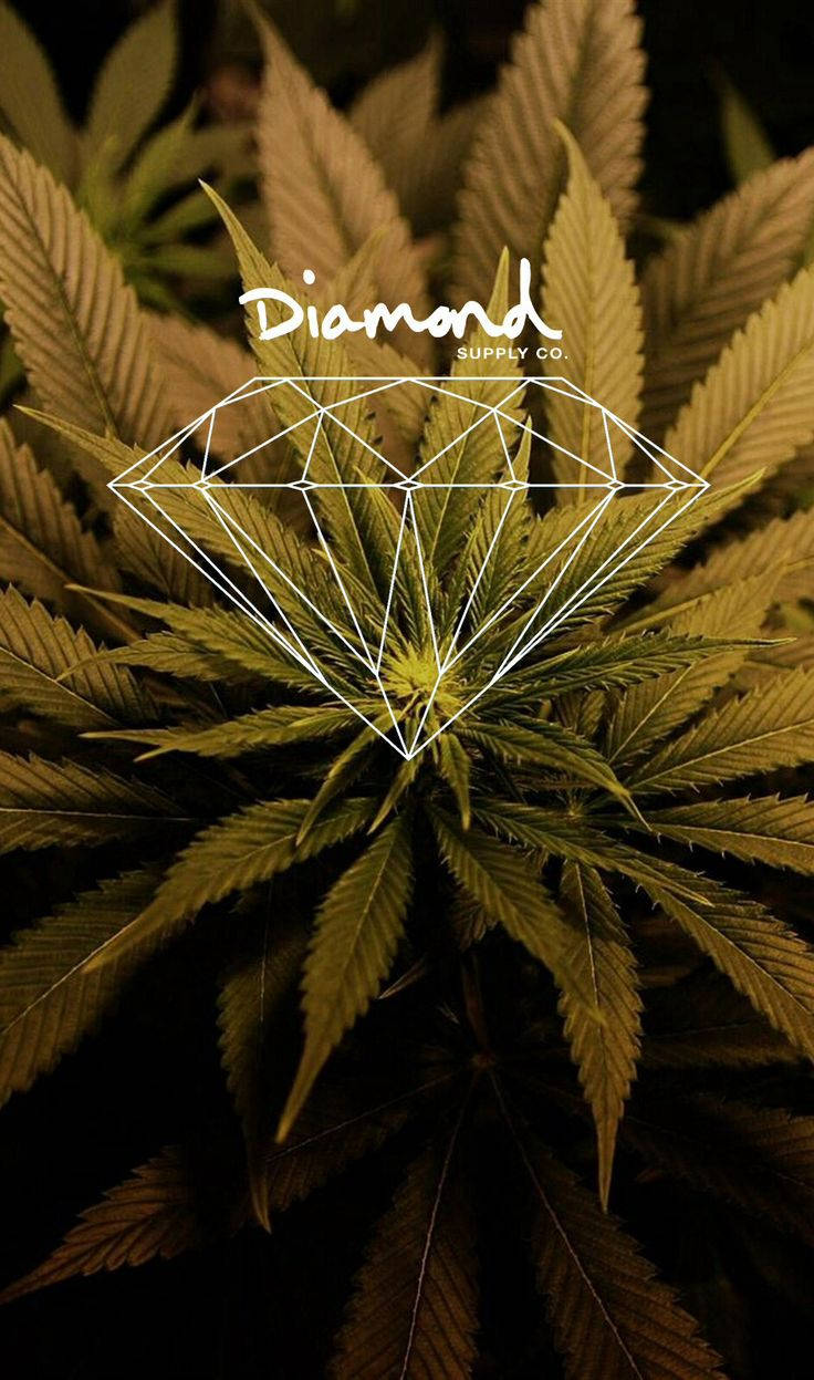 Weed iPhone Wallpaper