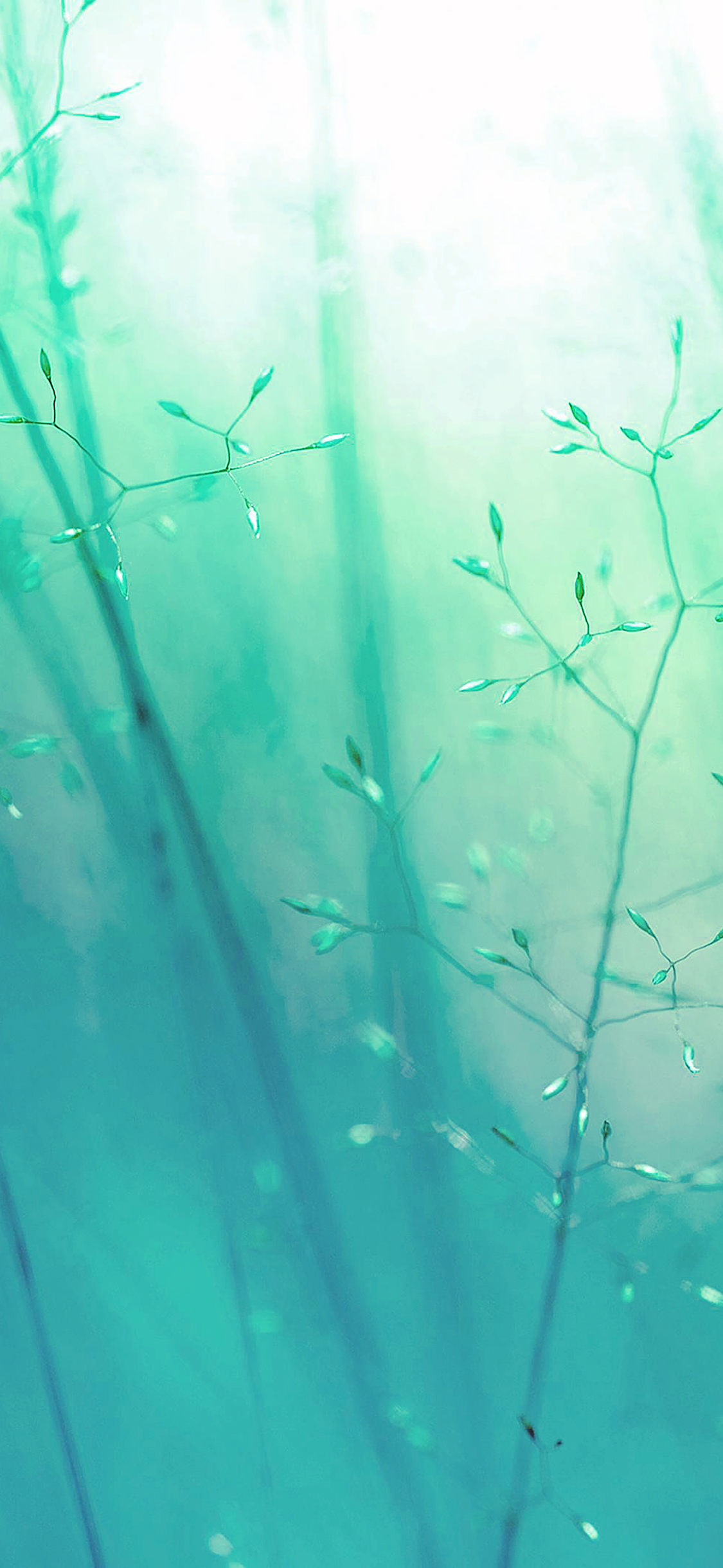 Lg G3 Weed Green Flower Nature