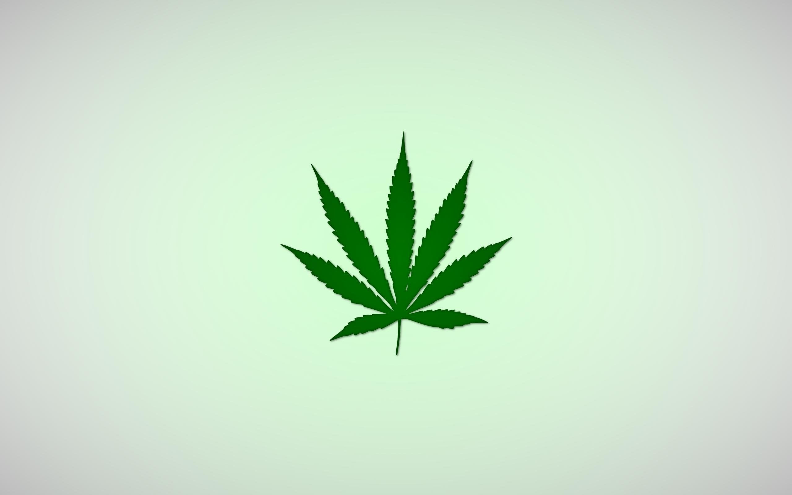 Minimalistic Marijuana / Weed