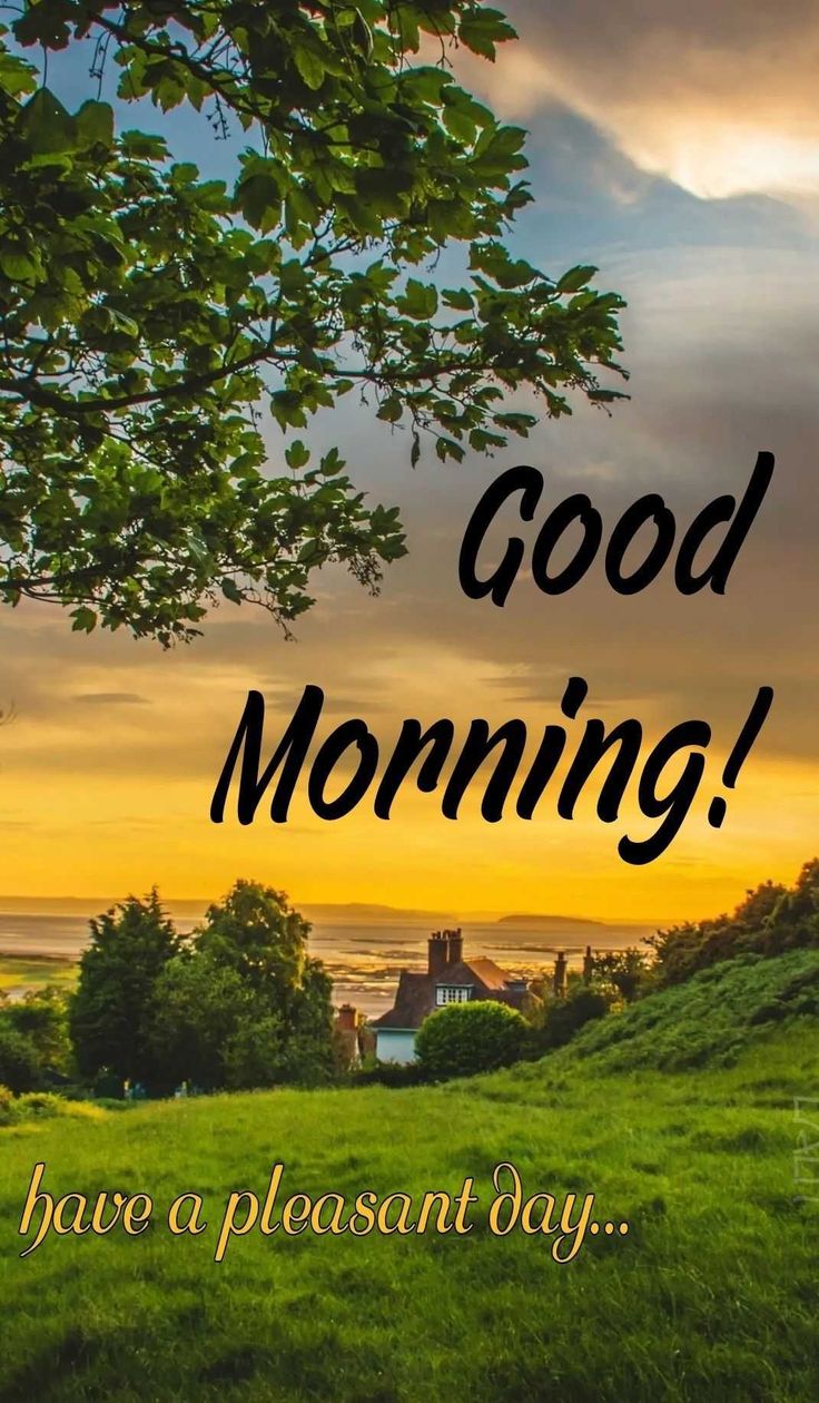 Good Morning Wallpaper