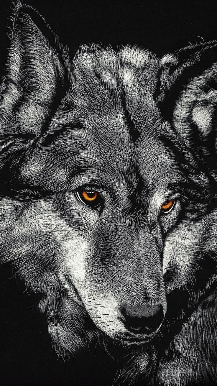 Black Wolf iPhone X Wallpaper free