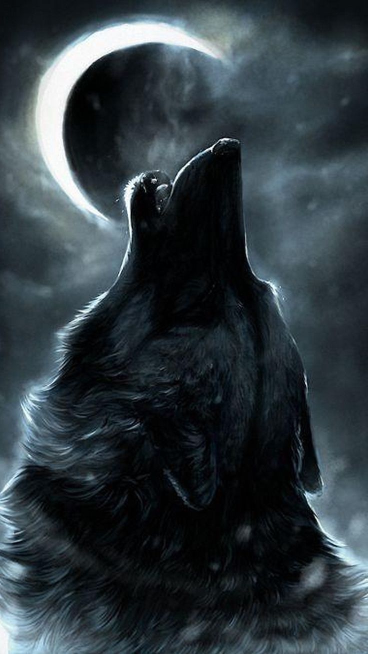 Cool Wolf iPhone X Wallpaper HD