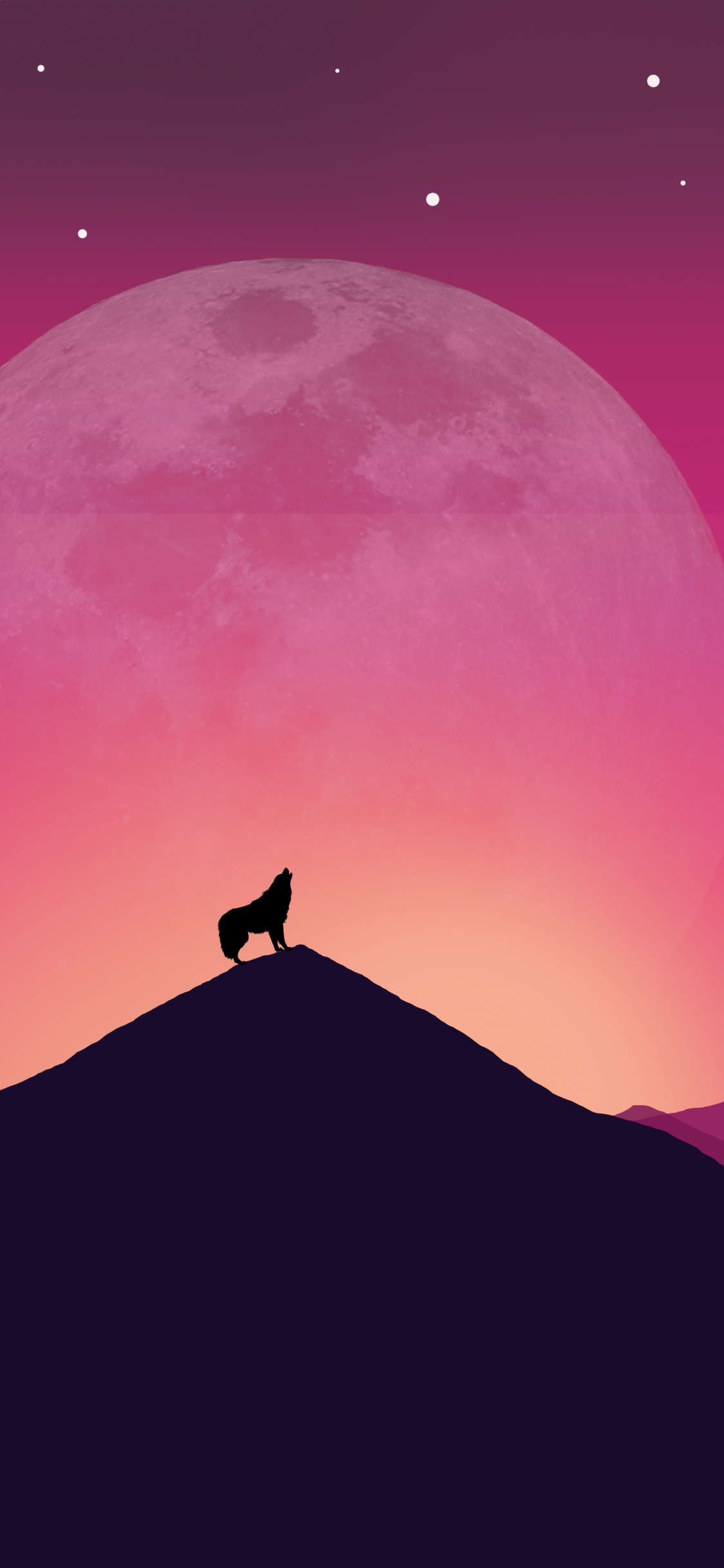 Download wallpaper 1125x2436 wolf