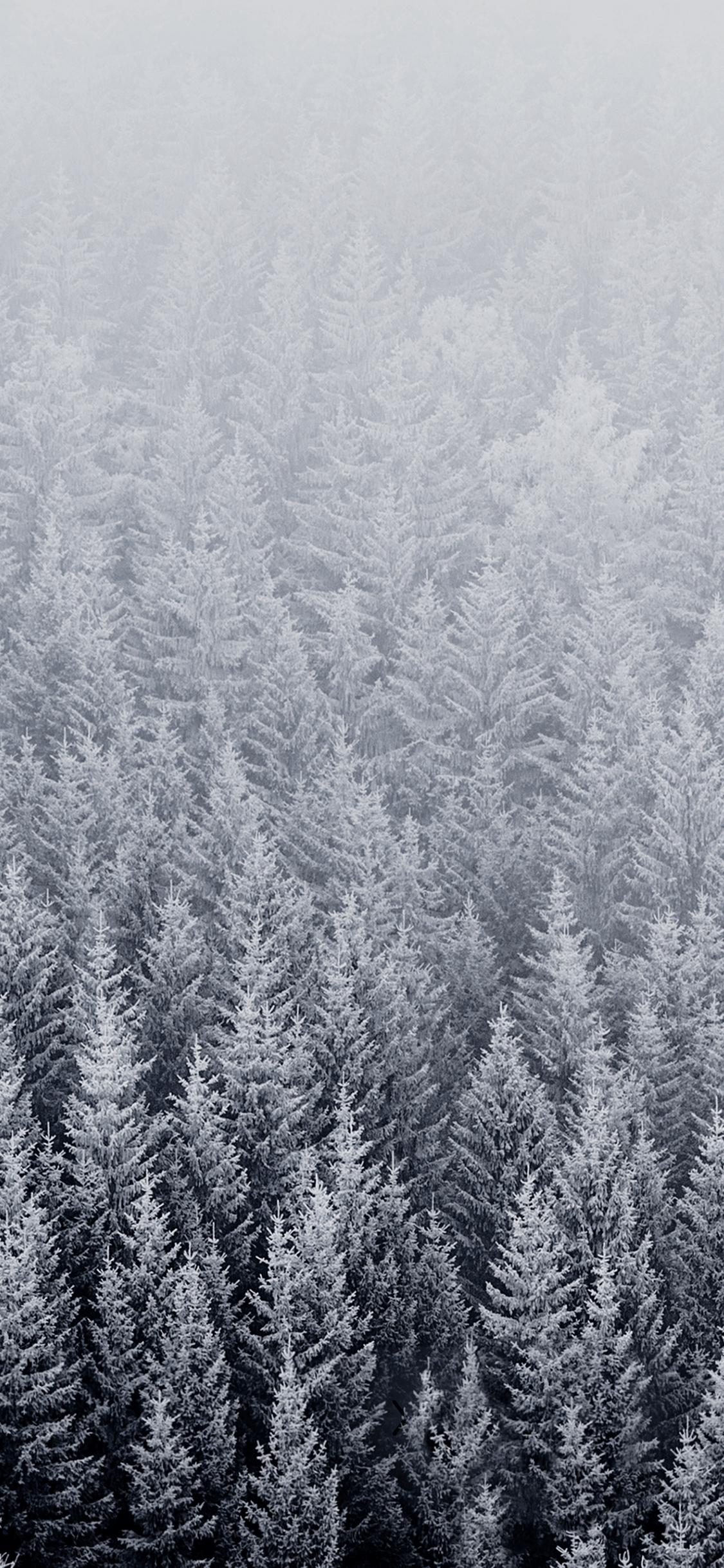 successive Apple official wallpaper
