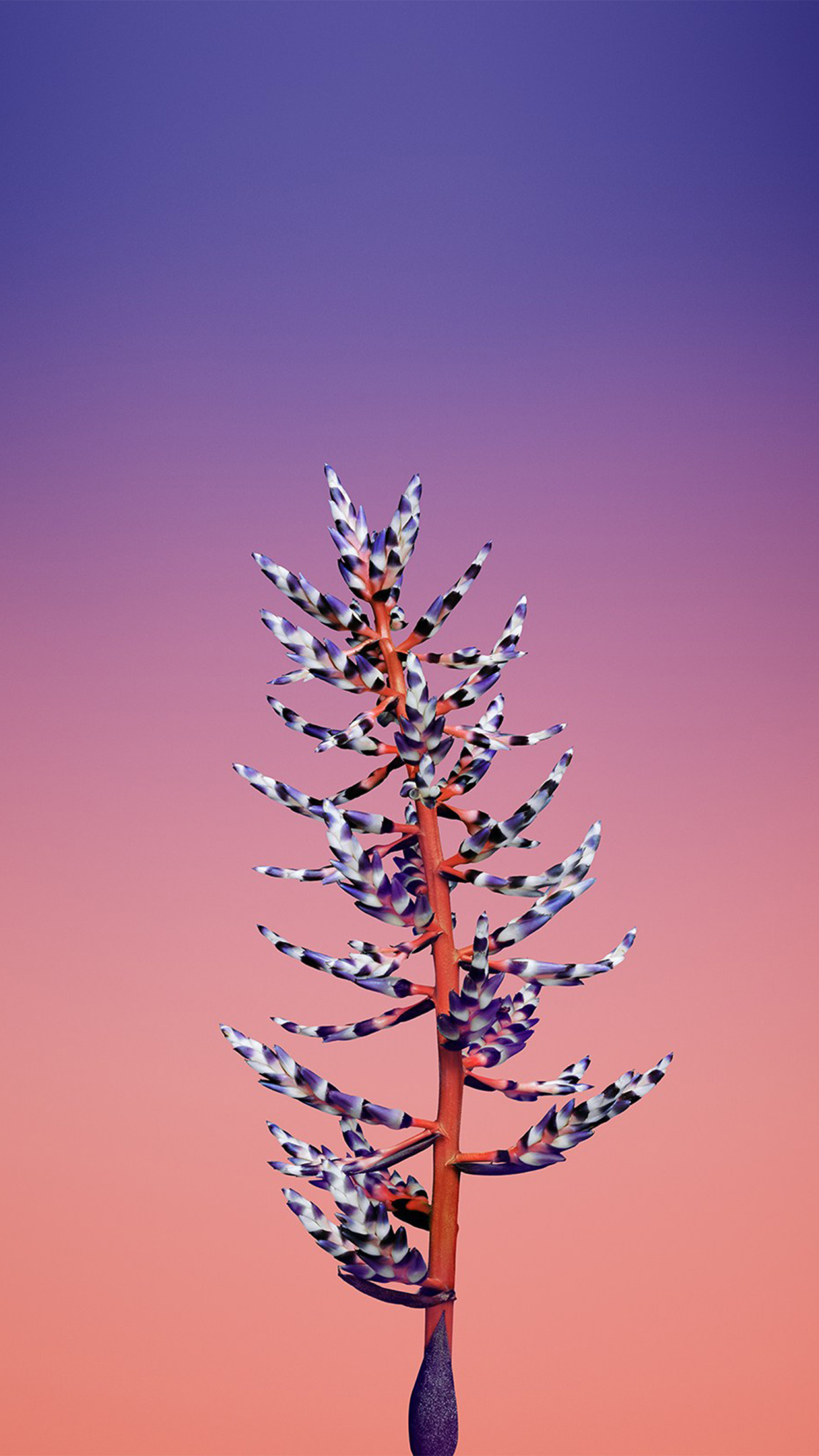 Iphonex Apple Illustration Art Flower