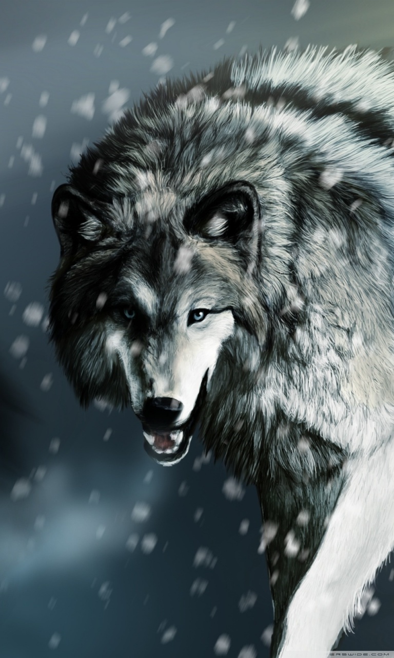 Wolf Ultra HD Desktop Background