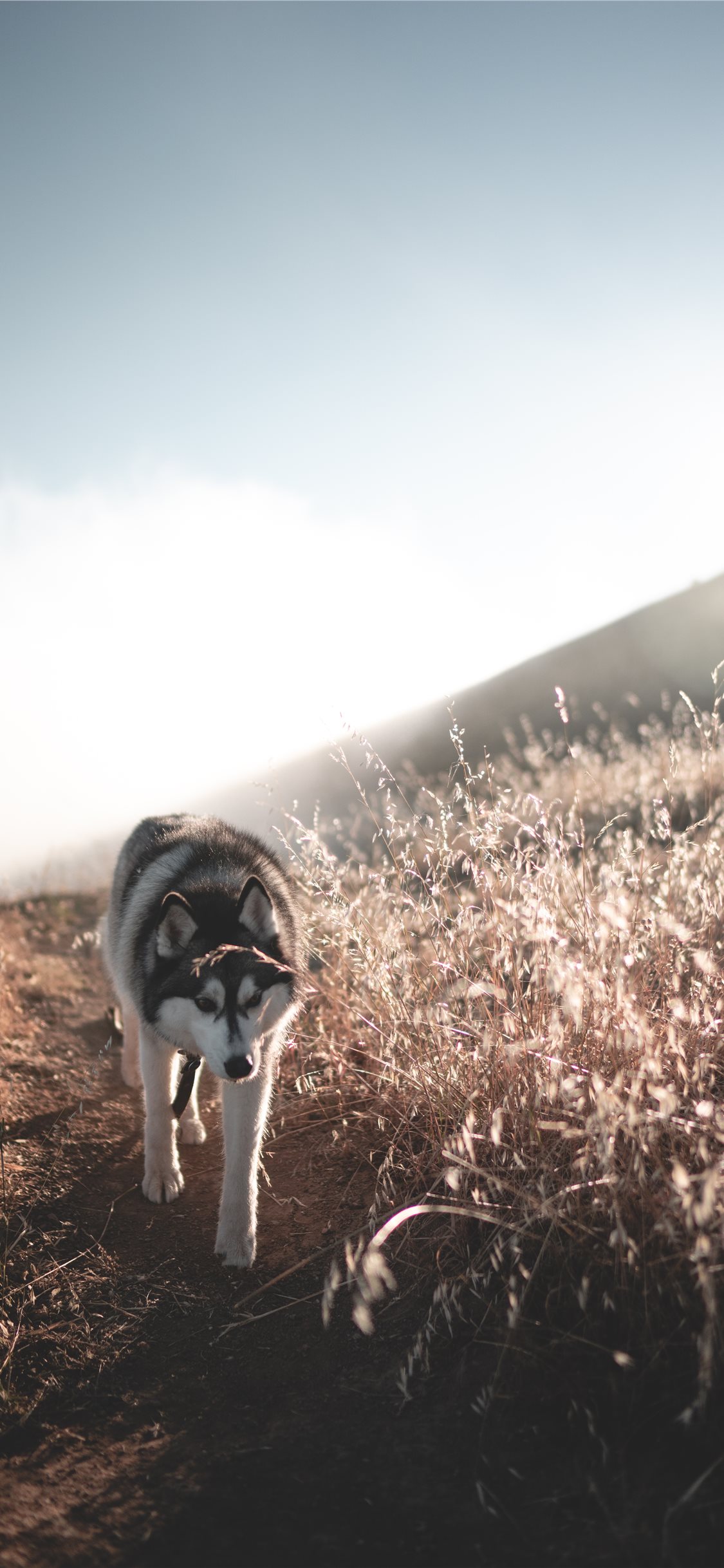 landscape iPhone X Wallpaper Free Download