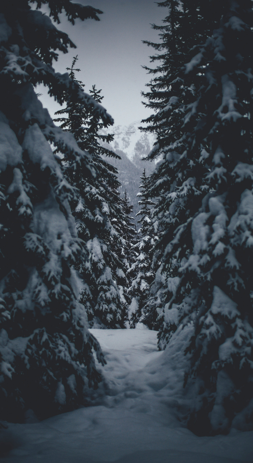 Snow iPhone X Wallpapers - Wallpaper Cave